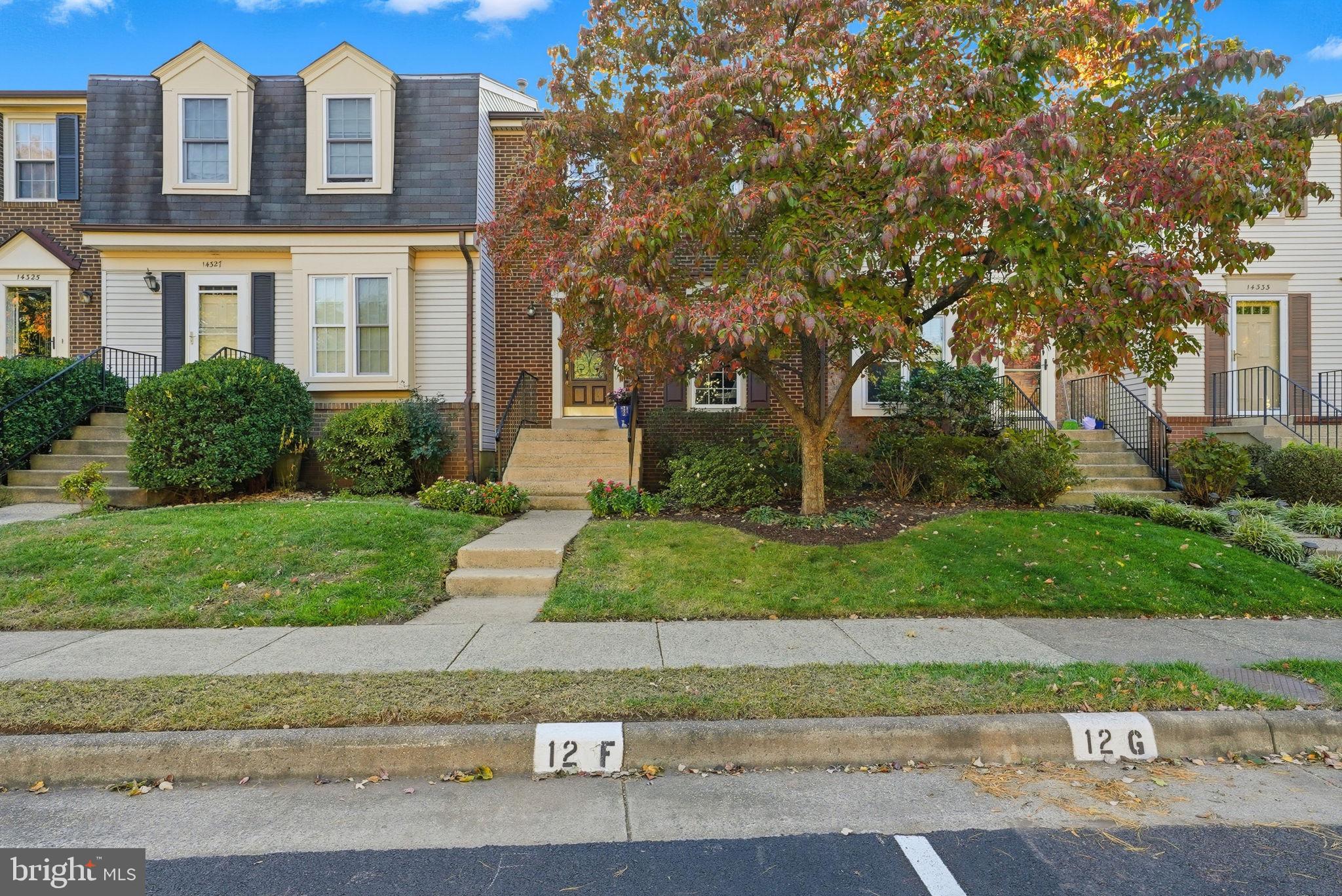 14329 LITTLE ROCKY MOUNTAIN COURT