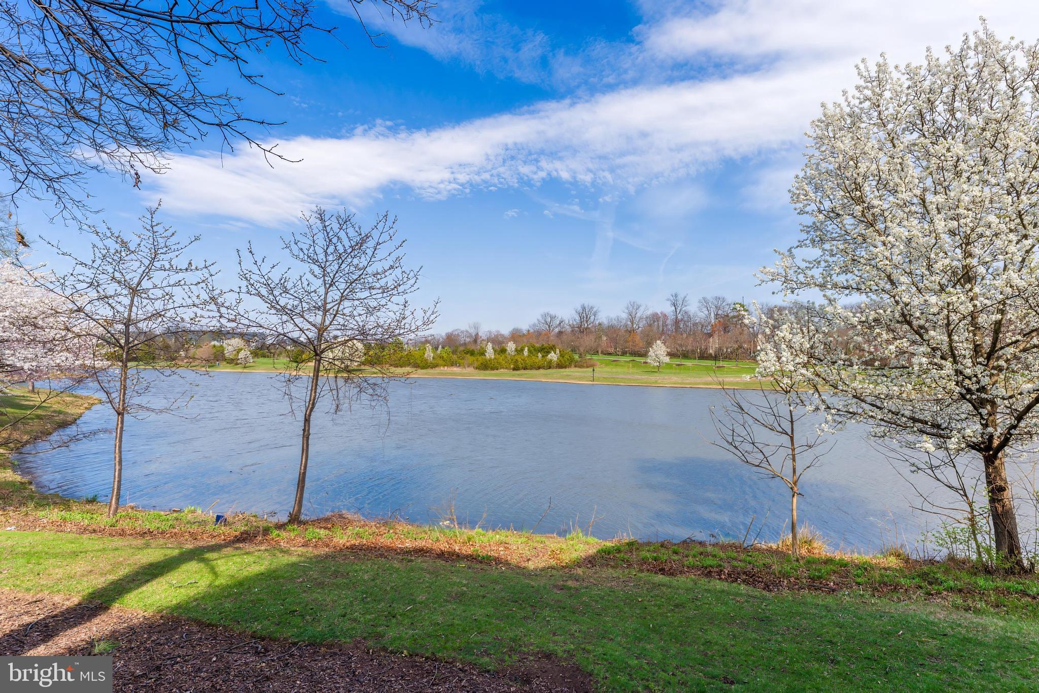 LAKESIDE AT SOUTH RIDING - Residential