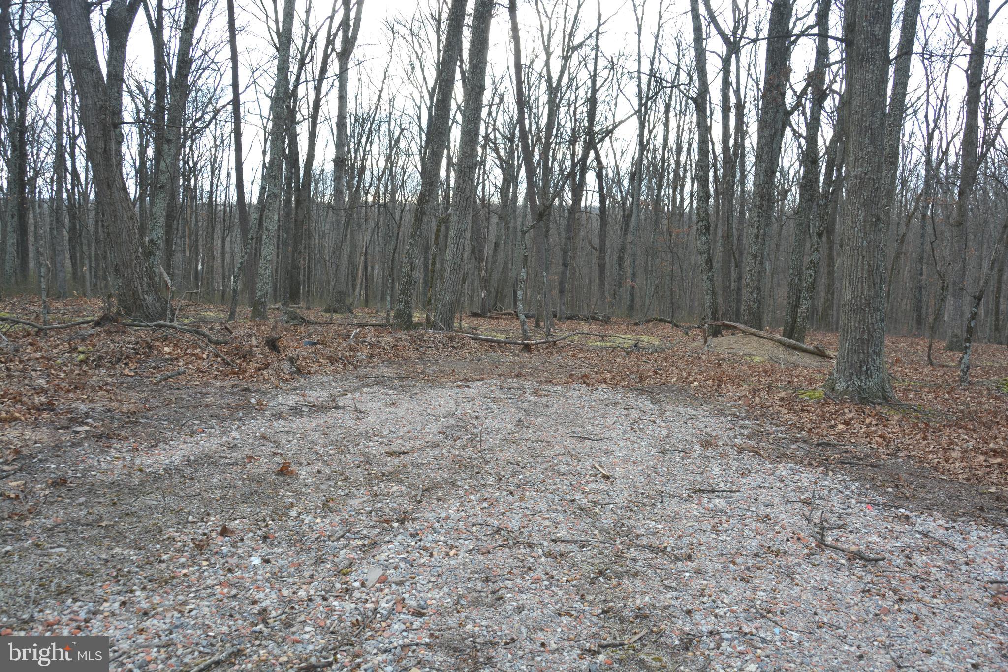 N TIMBER RIDGE ROAD LOT 4 (60 A)