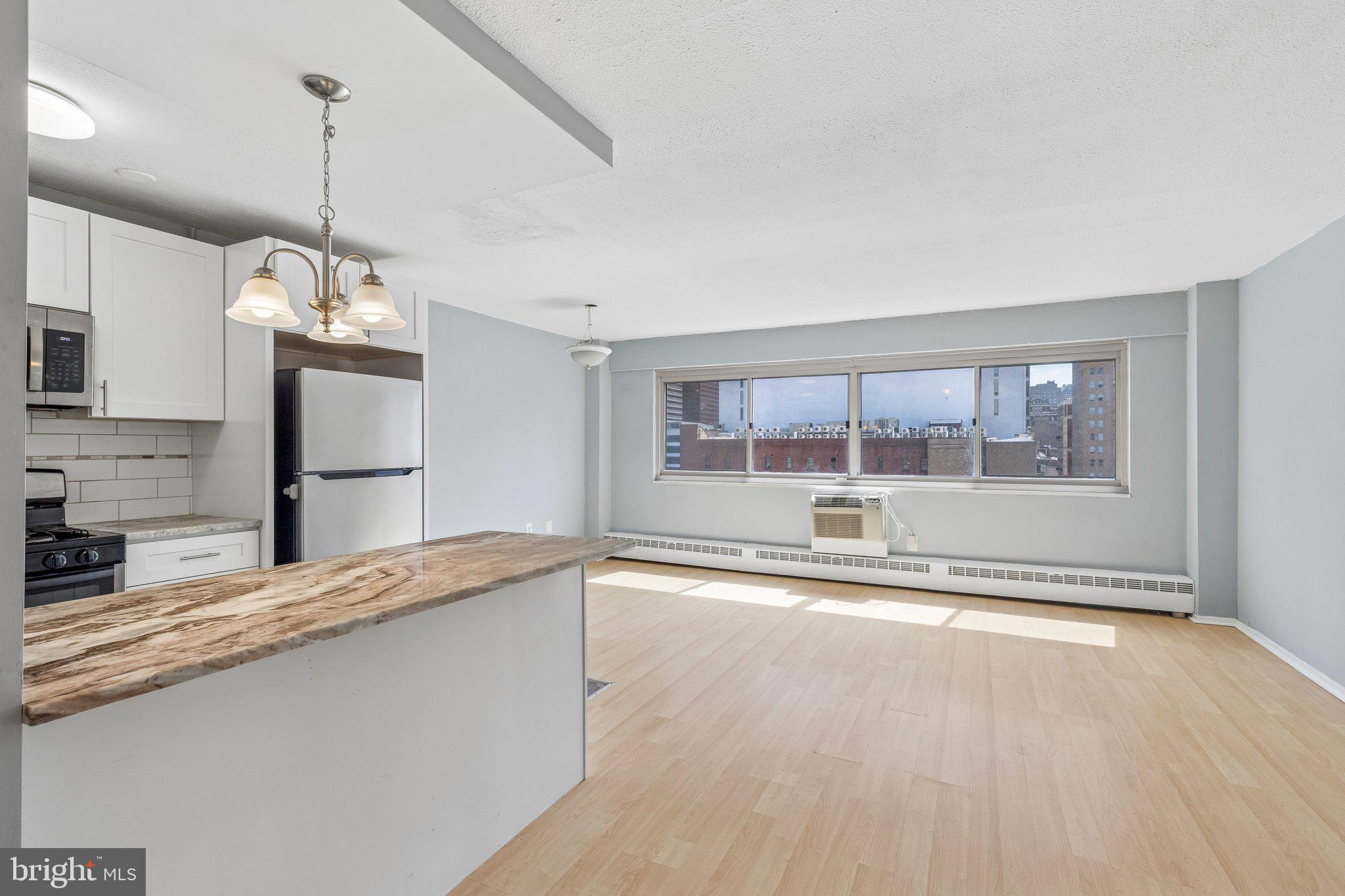 2101 CHESTNUT STREET 1008