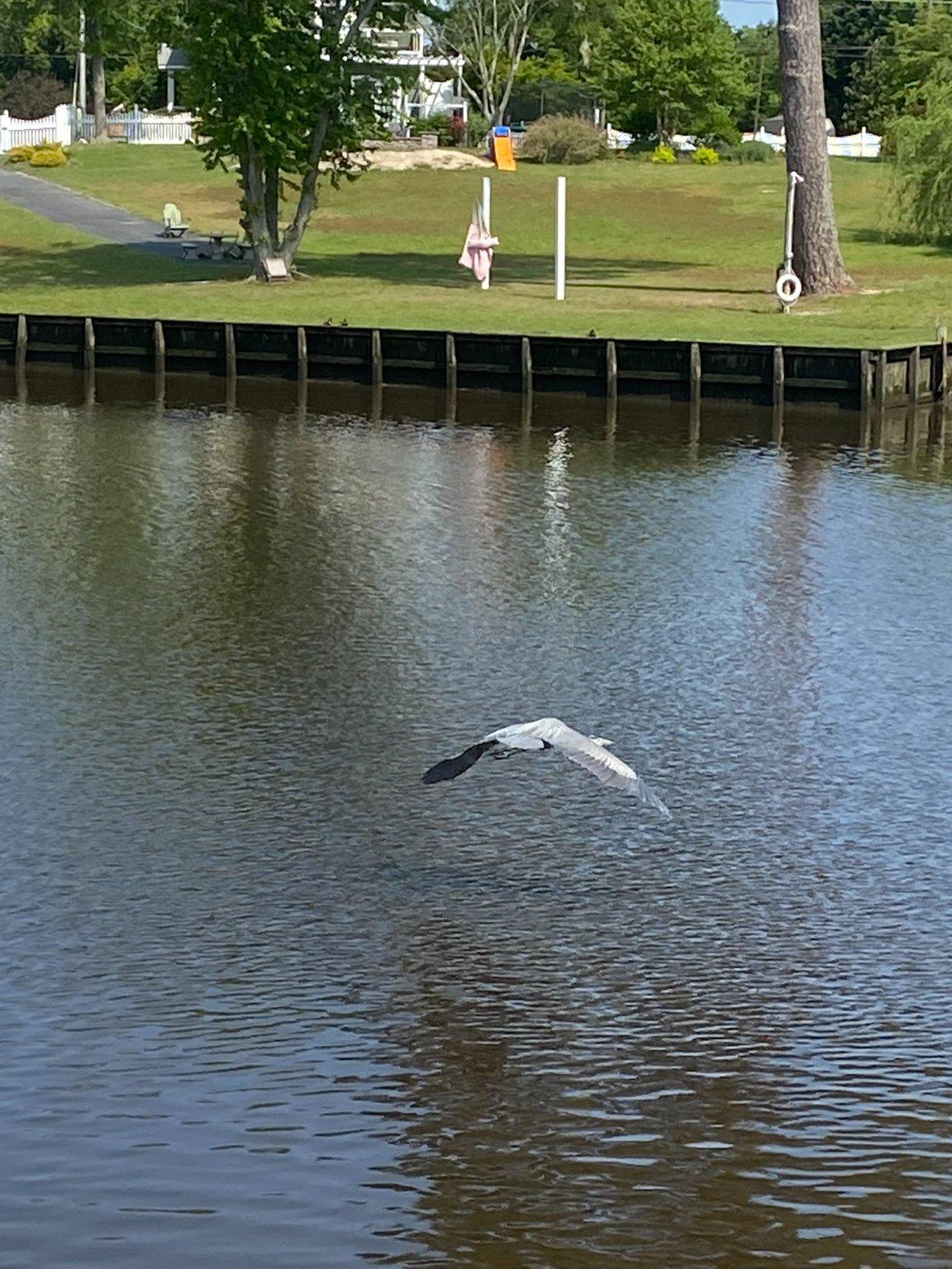 HUNTERS POINTE - Residential