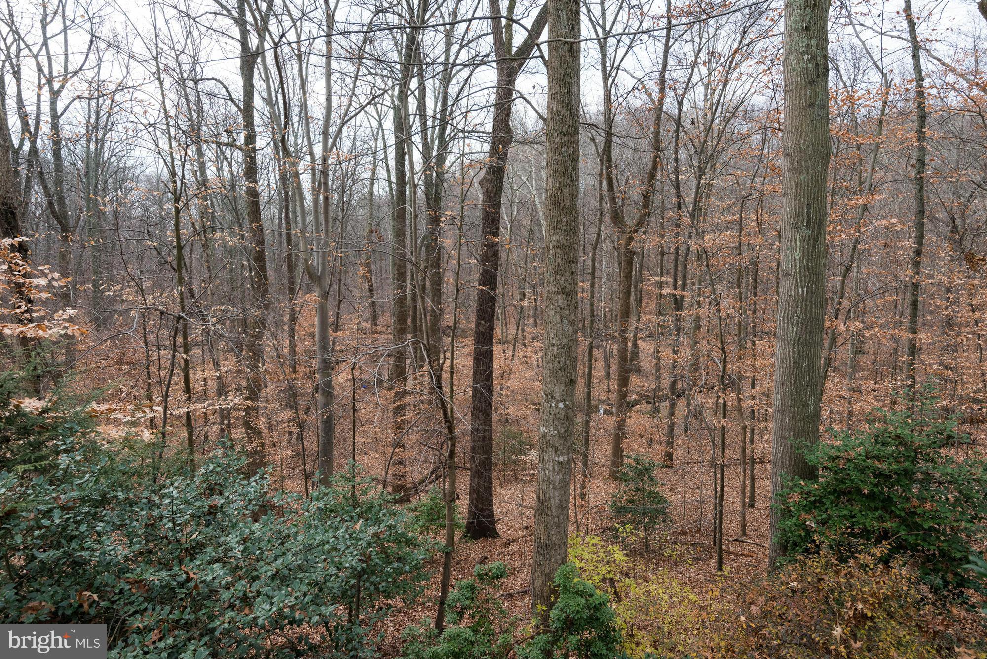 WINDSOR HILLS - Residential