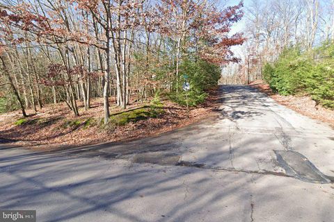 Vacant Land For Sale - 102 Buck Ridge Lane<br/> DRUMS, PA 18222