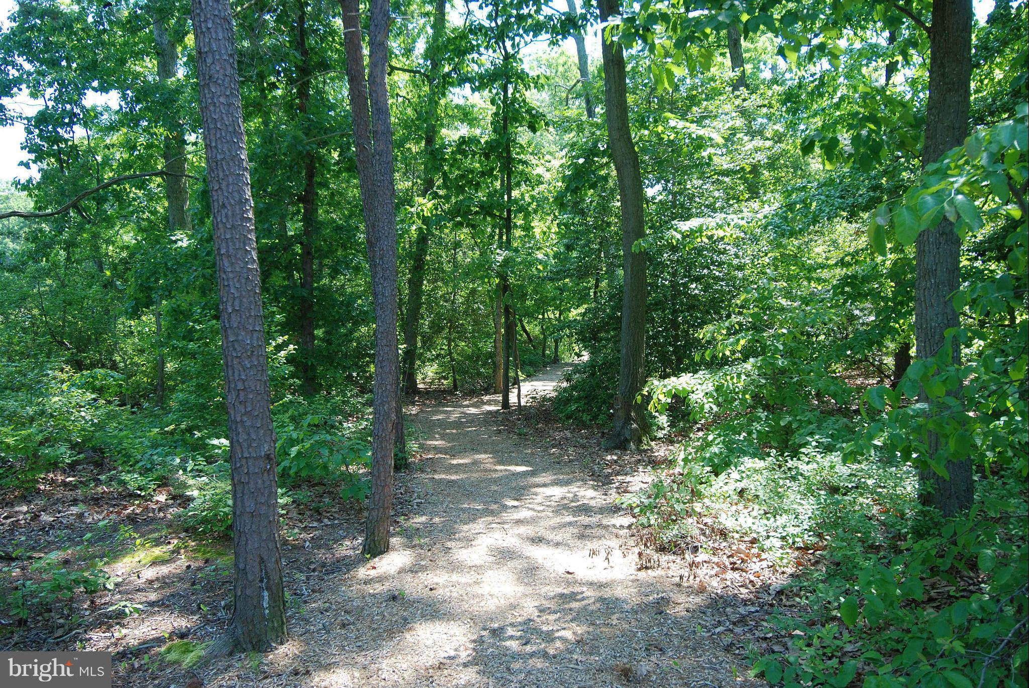 WATERS EDGE AT WOODS LANDING - Residential