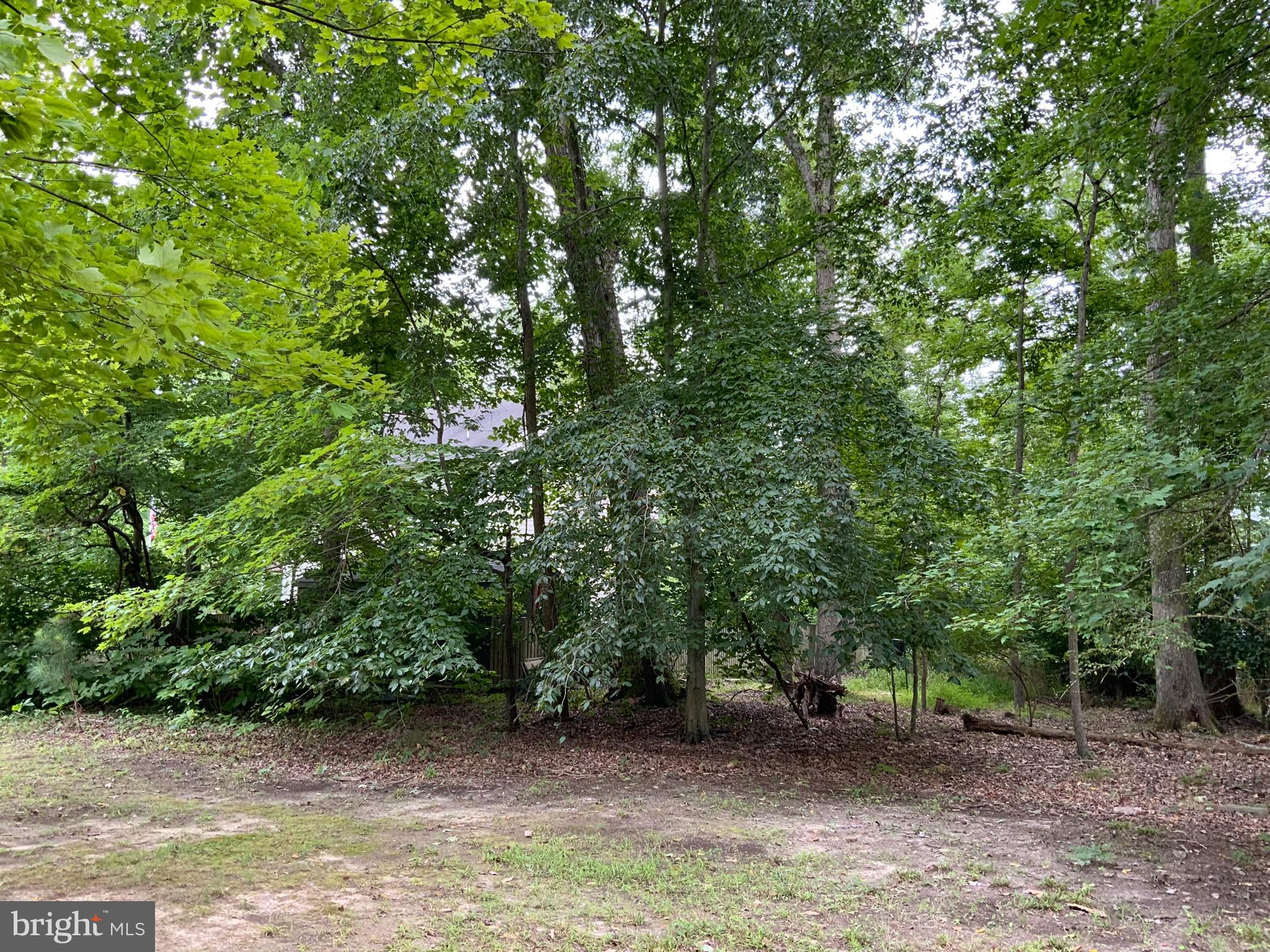 NORTH BEACH PARK - Residential