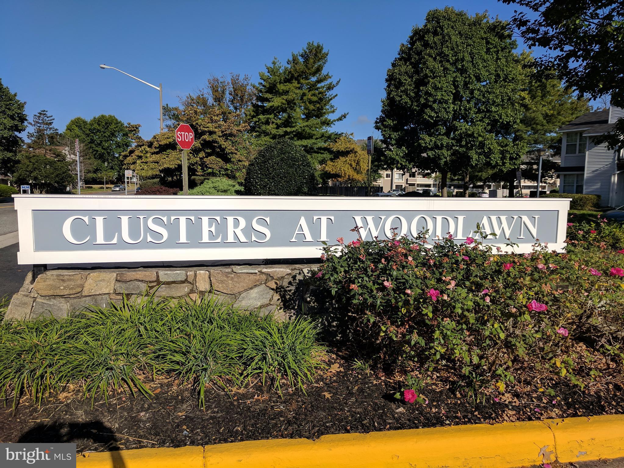 CLUSTERS AT WOODLAWN - Residential
