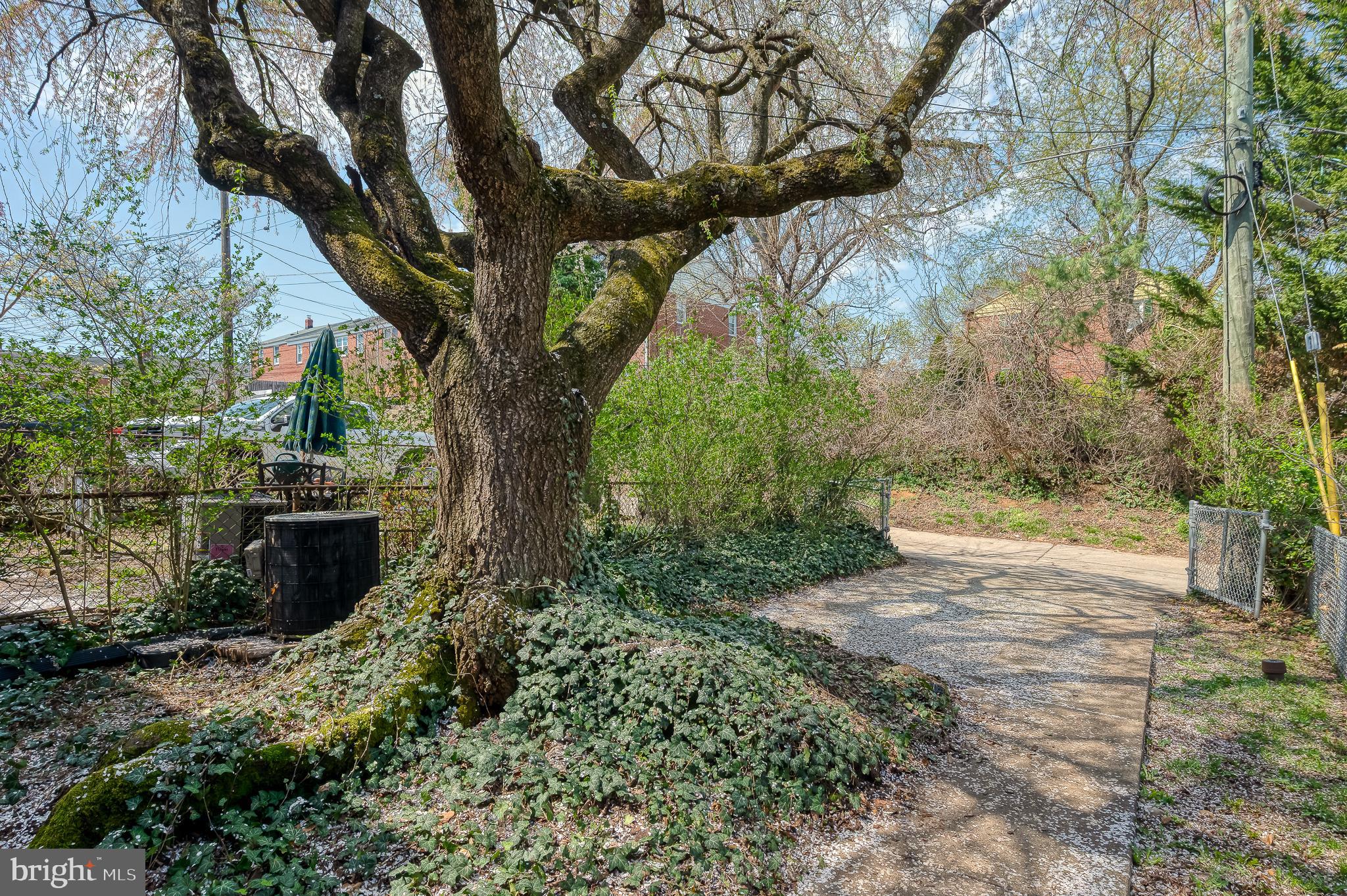 TOWSON PARK - Residential