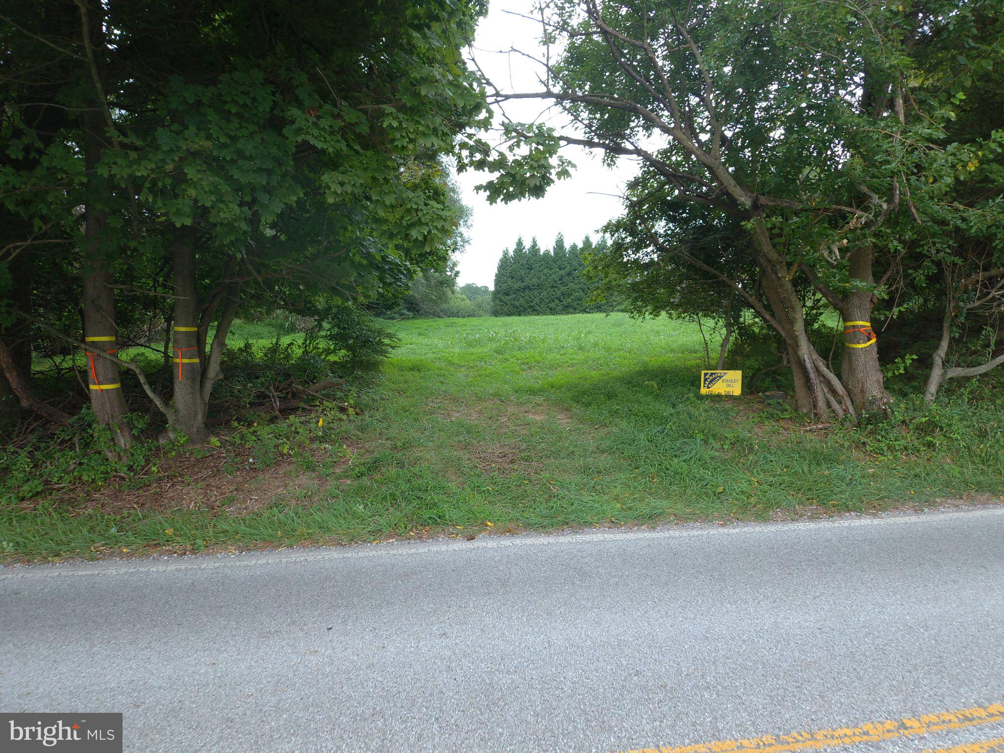 DULANEY VALLEY ROAD