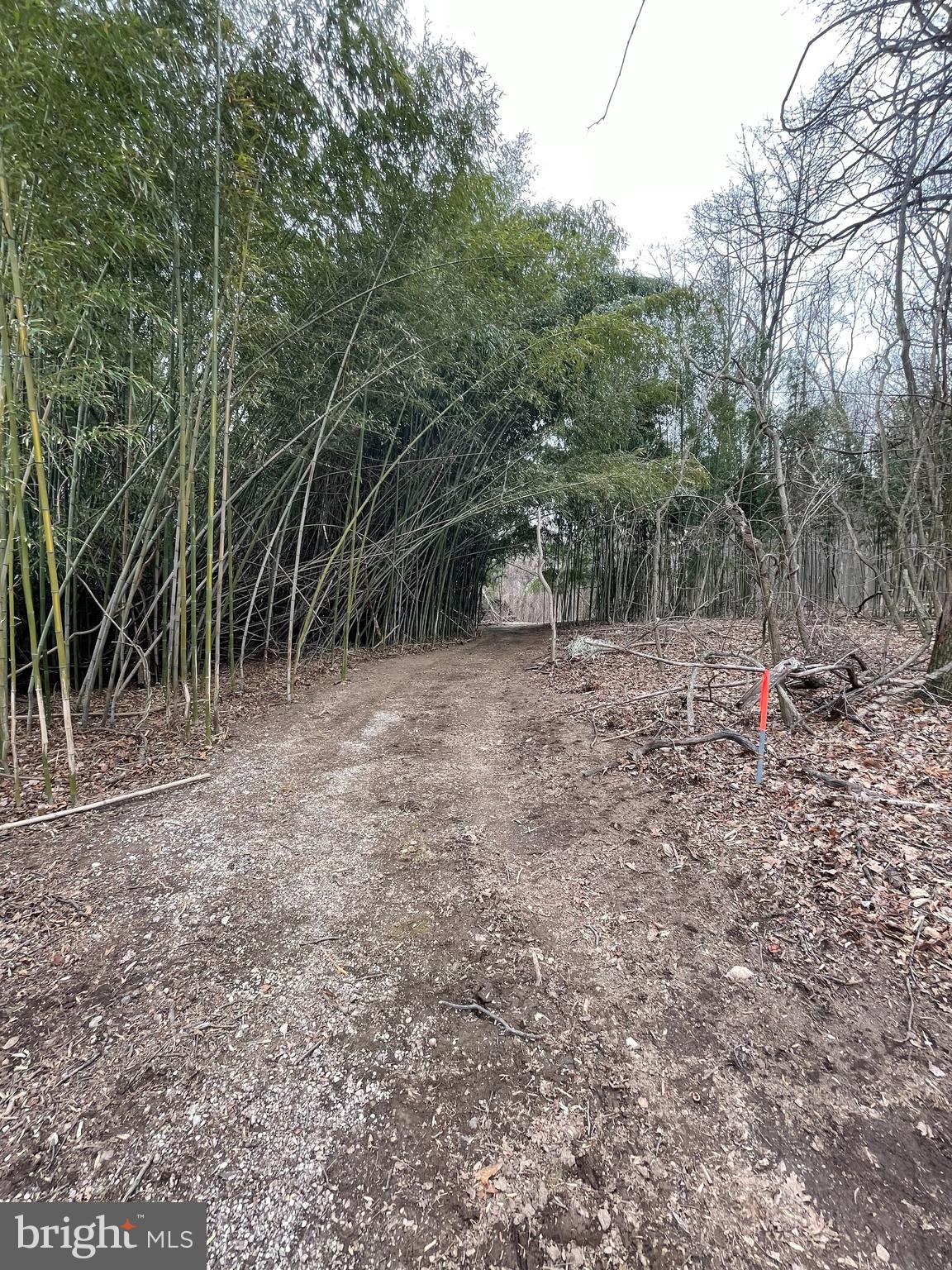 Very private and beautiful 9.5 acres w/ right of way off Piney Grove Road. Can be subdivided one (1) time. Verify w/ Baltimore County. Mostly wooded; however can be cleared. Located in Green Spring Hunt Country. Well on the Property will need to be tested. No perk test. Minutes to Glyndon. Call LA for additional info or for a tour. Please do not enter the Property w/out an appointment...