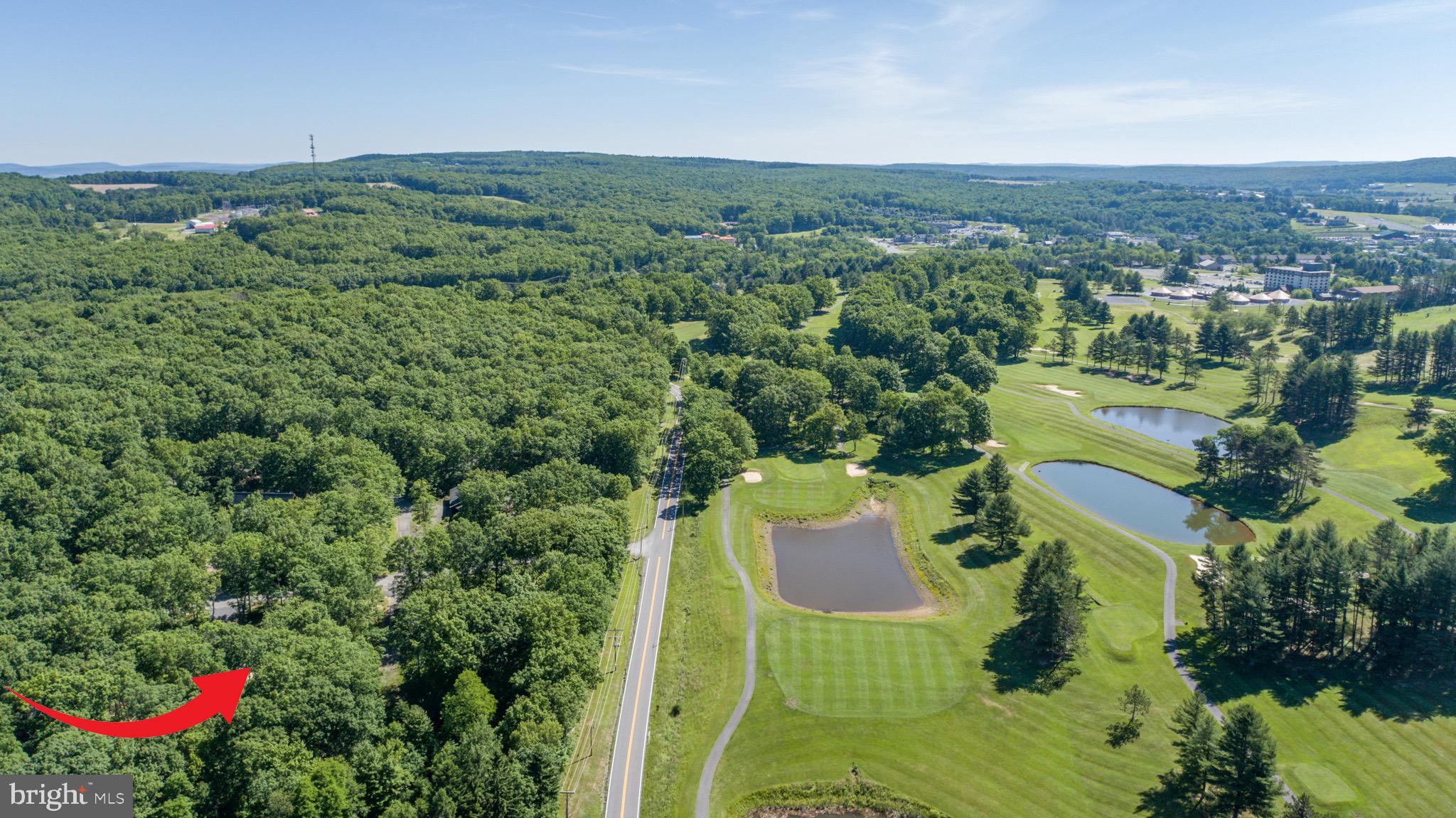RED BRUSH - Residential