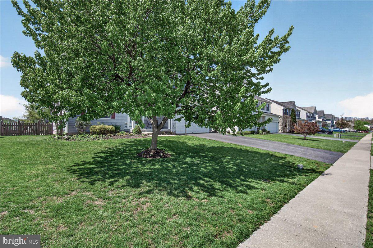 SUN MEADOW - Residential