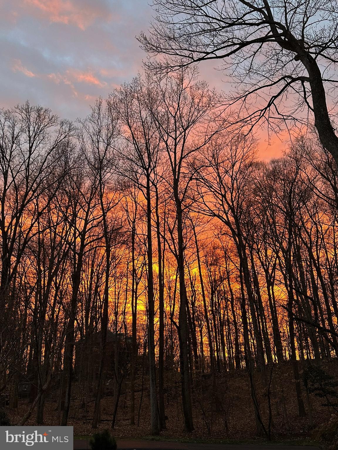 TWELVE OAKS - Residential