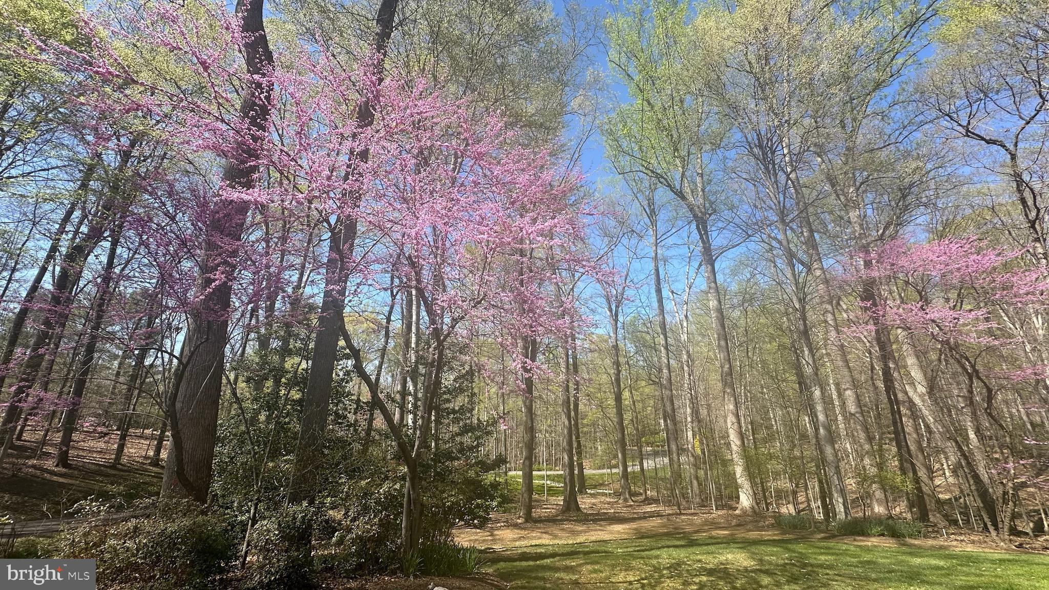 TWELVE OAKS - Residential