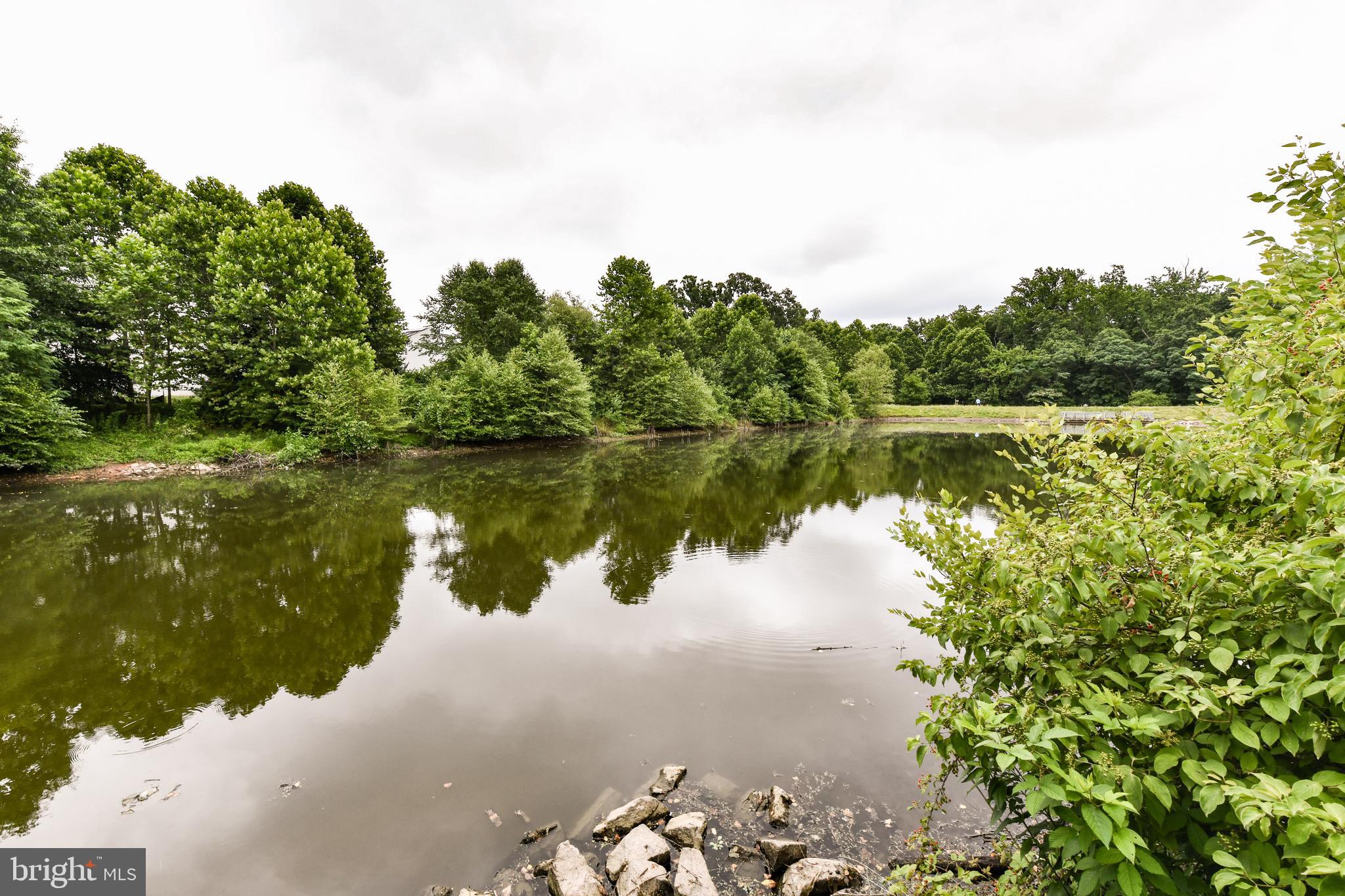 KINGSTON CHASE - Residential