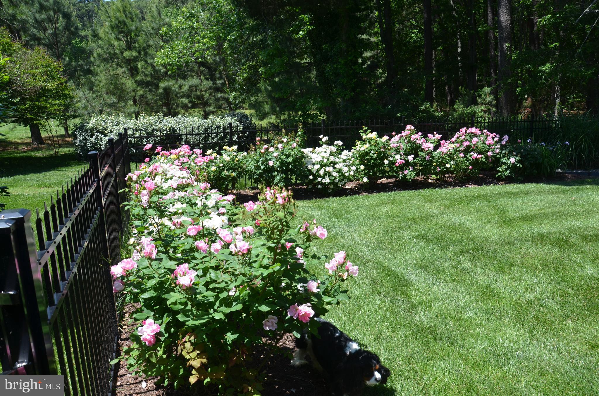 CHURCH NECK - Residential