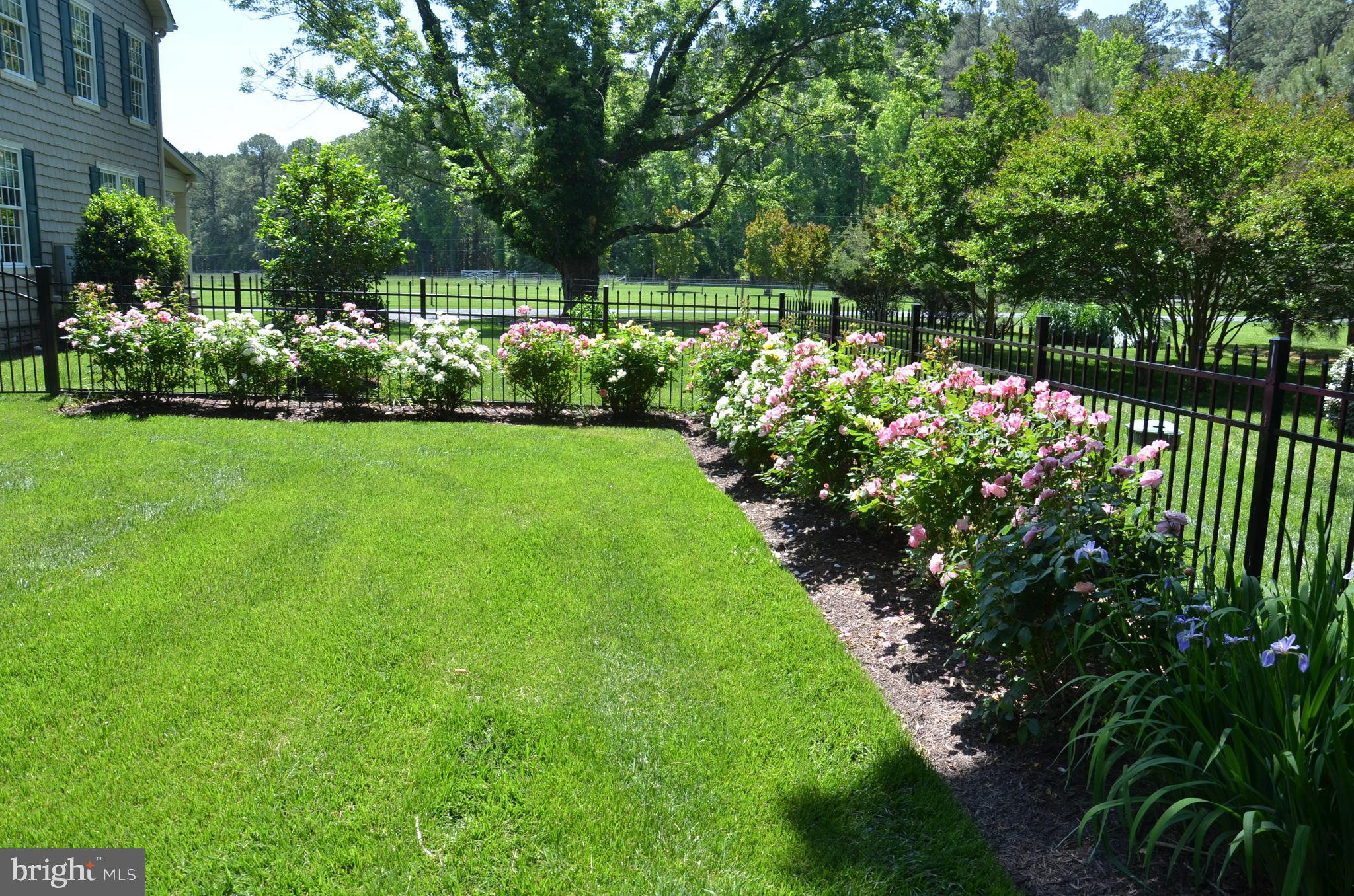 CHURCH NECK - Residential