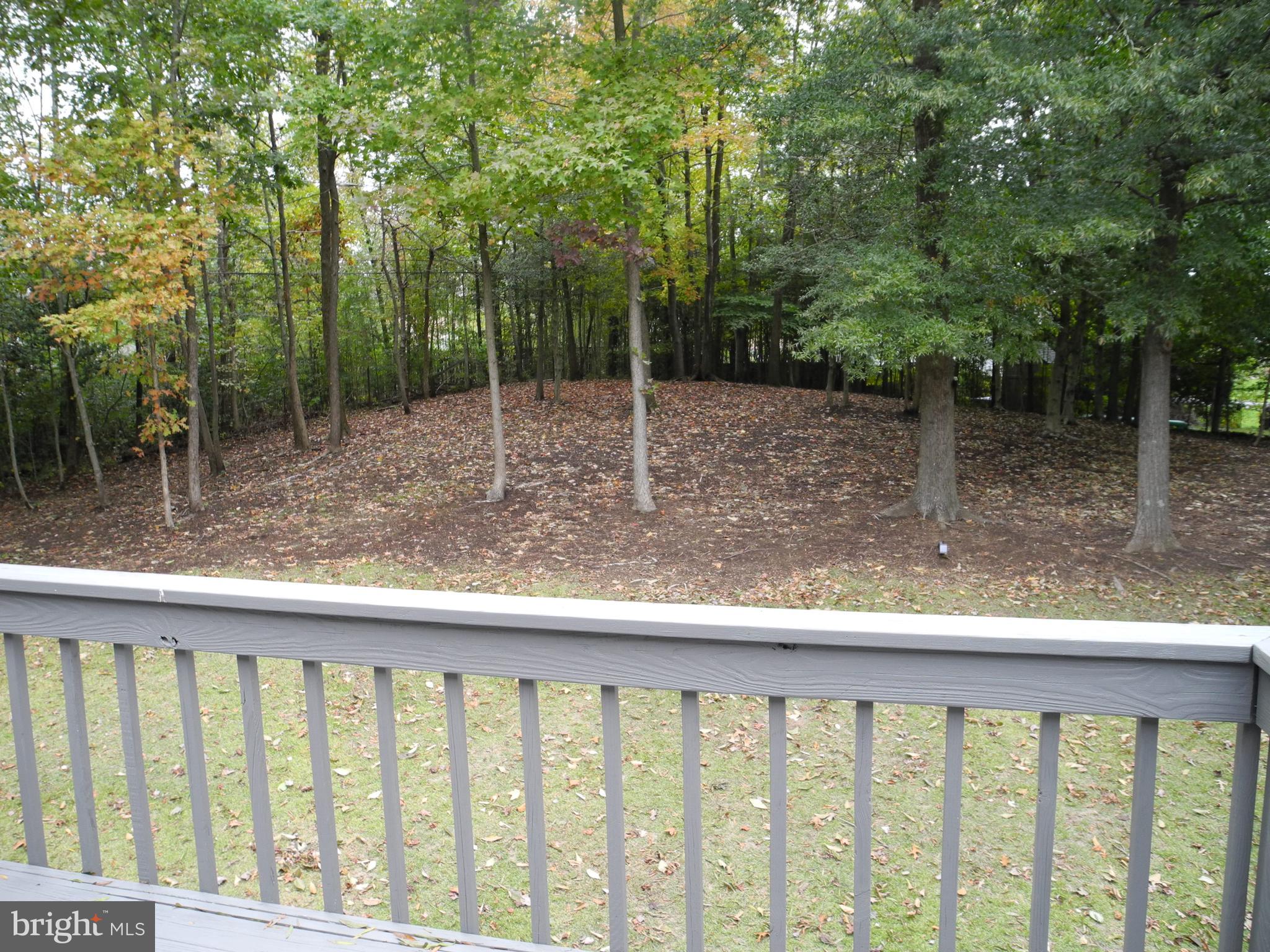 CORBIN PARK - Residential Lease