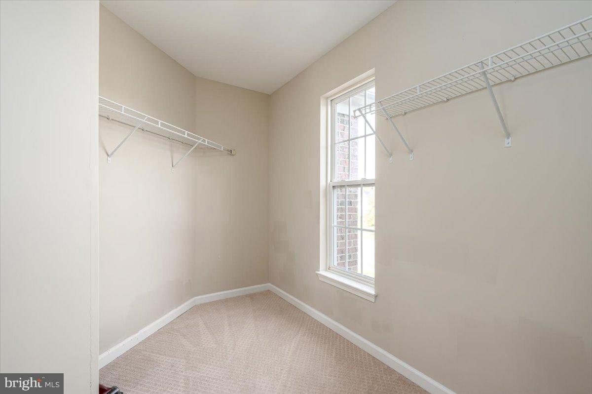 SHAMROCK MANOR - Residential