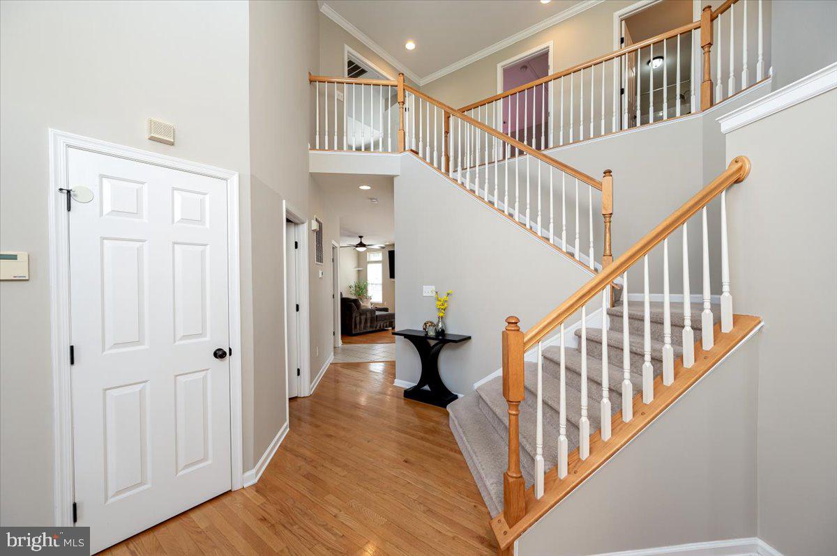 SHAMROCK MANOR - Residential