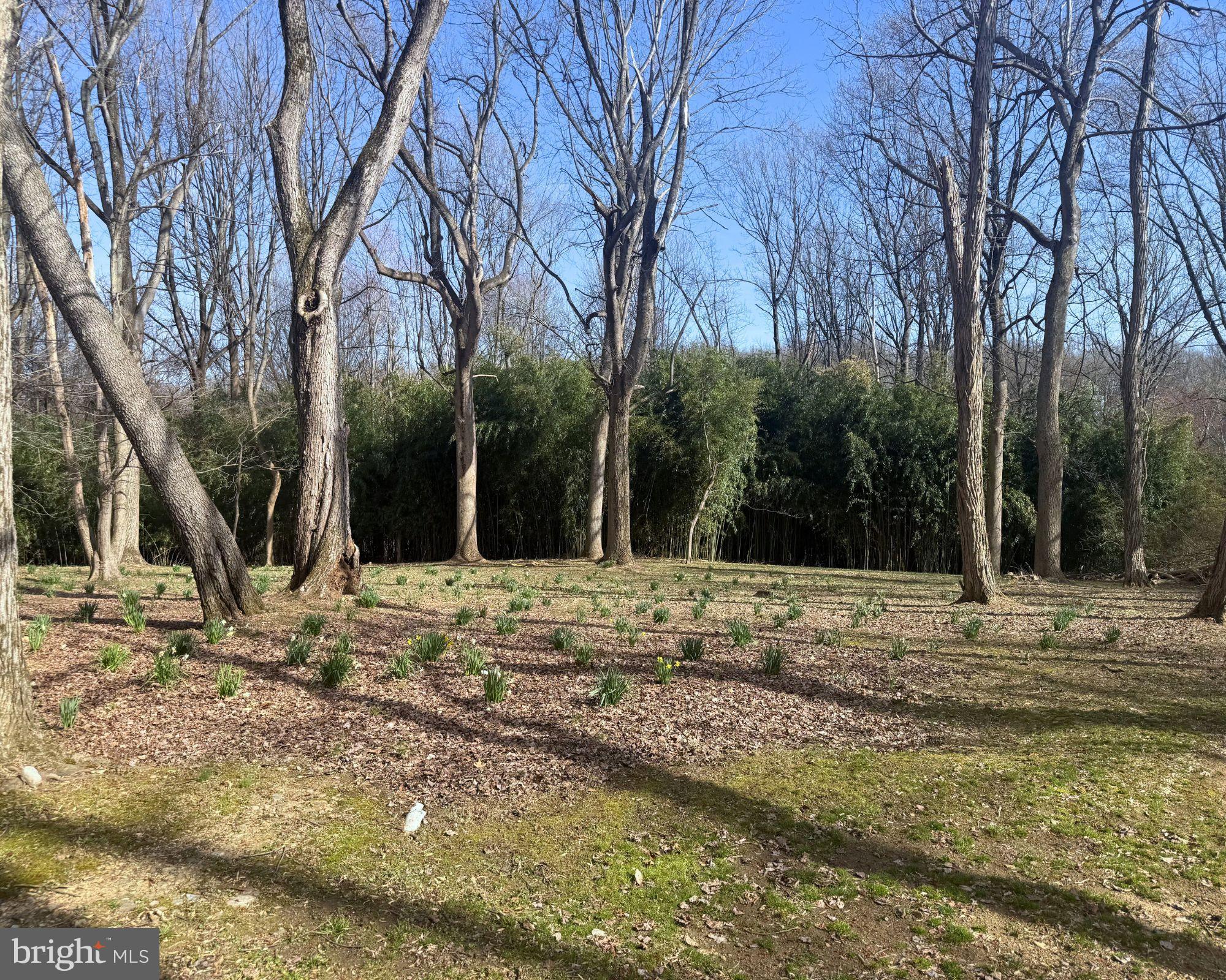 BITTERSWEET - Residential