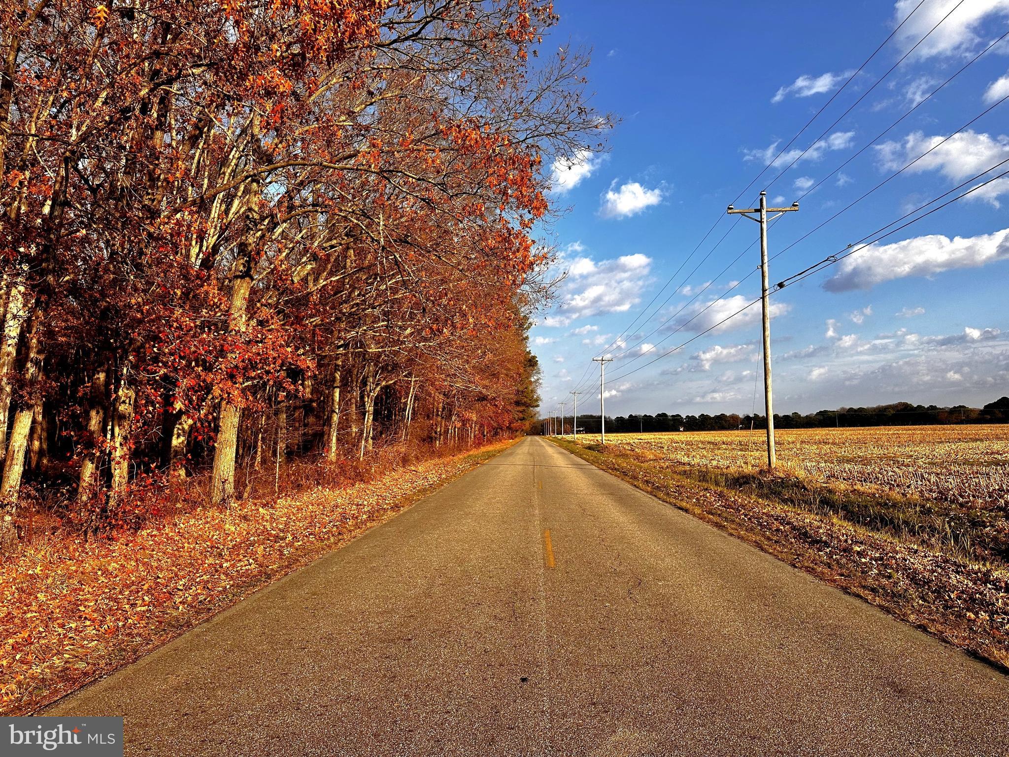 1109 GRASONVILLE CEMETERY ROAD