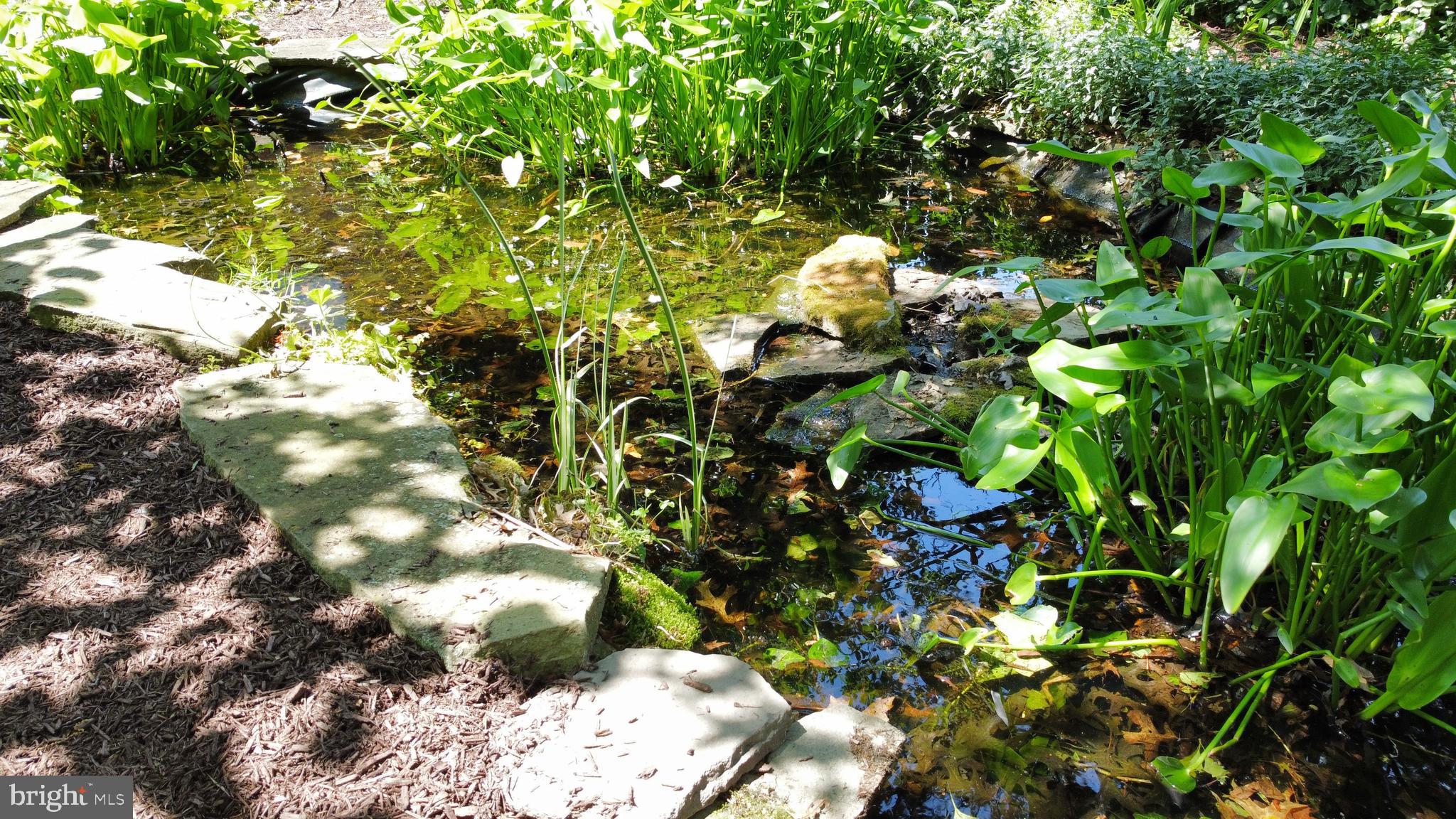 CLOVERDALE - Residential