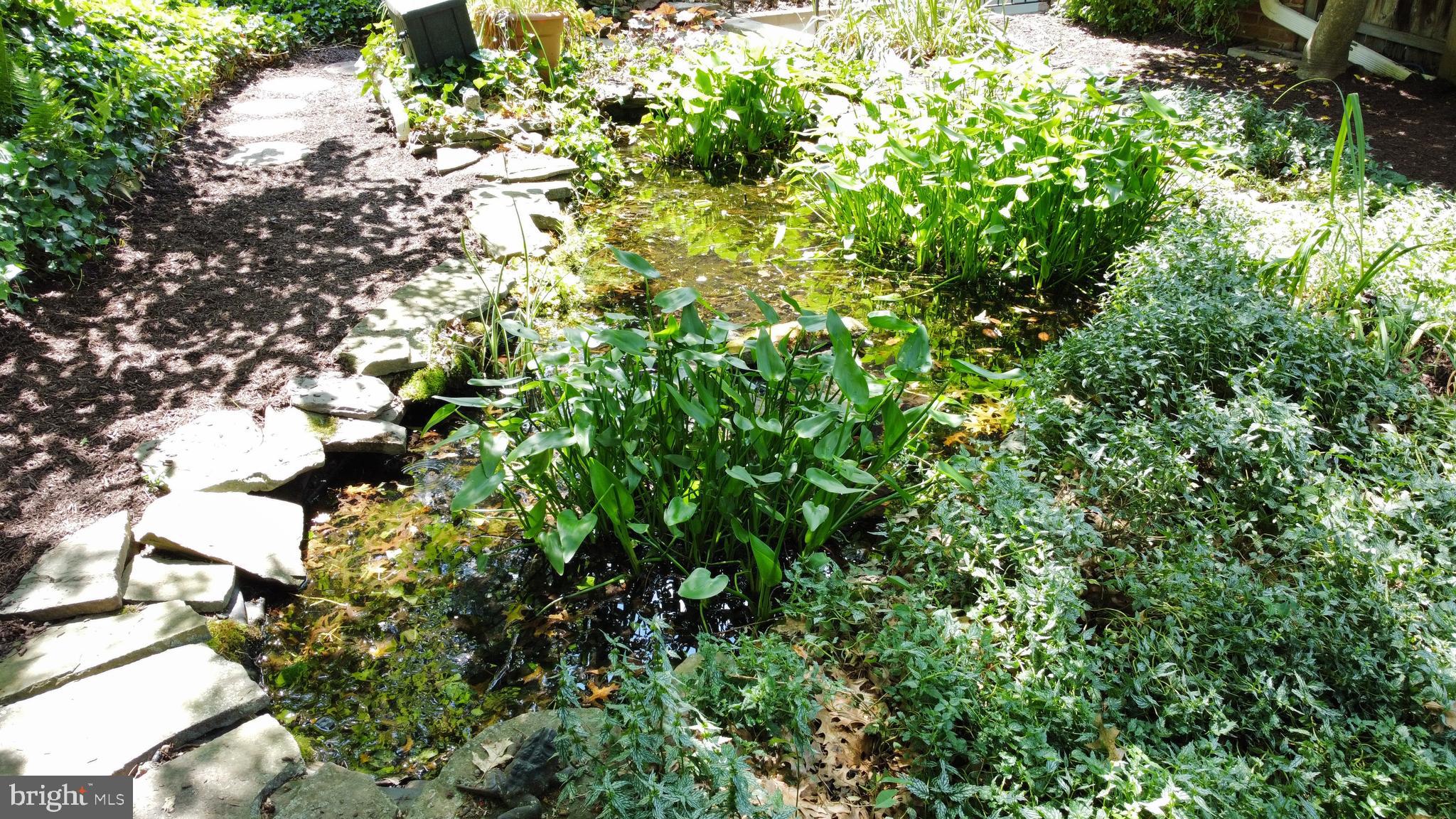 CLOVERDALE - Residential