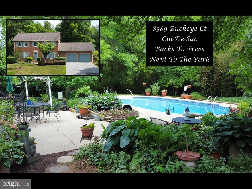 Welcome to Buckeye Court, a quiet cul-de-sac comprised of custom homes in Cloverdale, a Clover Hill community.  This incredible 4 bedroom, 2.5 bath custom brick colonial home has an amazing location, as it is nestled at the end of the cul-de-sac and is adjacent to the Buckeye Court pathway to the Clover Hill Park.  The home features a remodeled eat-in kitchen with oak cabinets, a center island w/breakfast bar & pendant lighting, plank-vinyl floors, a large pantry, and an adjacent casual dining area with custom moldings, a ceiling fan & fabulous views of the backyard.   The family room features a floor-to-ceiling brick-hearth fireplace, custom moldings, a ceiling fan, and plantation shutters.  There's a living room/office with hardwood floors and crown molding, plus a  formal dining room with crown molding and chair rail.  Rounding out the main level is a gorgeous entry foyer and powder room, both with hardwood floors, a huge mudroom entry from the garage  and laundry room with plank vinyl floors, a utility sink, a service door exit to the backyard, and even a laundry chute.   Upstairs are 4 bedrooms, including a spacious primary bedroom that features a ceiling fan, newer carpeting, a walk-in closet, and a private bathroom.   There are 3 additional bedrooms upstairs and a spacious hall bathroom.  Downstairs is a walkup, partially finished lower level with a huge recreation room featuring an amazing brick accent wall and a wood stove.  The lower level also has plenty of unfinished space with lots of room for storage.   And then there's the yard!  Out back is a private oasis, featuring an awesome inground pool, a huge pool deck, a brick porch and private patio,  a wonderful aquatic pond, all surrounded by trees, lush private gardens, walking paths, a play area and much more.  The front features a lovely front entryway with more gardens and a brick stoop, plus an oversized, attached 2-car garage.  Next to the property is a walkway easement to the fabulous Clover Hill Park, a 13-acre recreation area with a community pool, baseball diamonds, basketball, clubhouse, picnic pavilion, walking trails, and more.  The original owner of this property has lovingly maintained it, and some of the updates include a 30-year architectural shingle roof (2012), a Trane Heat Pump/AC (2020), kitchen island & flooring (2020), and much more.  This fabulous, close-in community is nearby shopping, recreation, Downtown Frederick and all it has to offer, and all major commuting routes.   It has a low HOA and NO CITY TAXES!   Hurry!