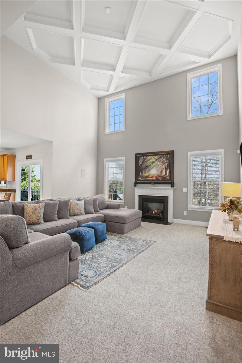 TURNING LEAF ESTATES - Residential