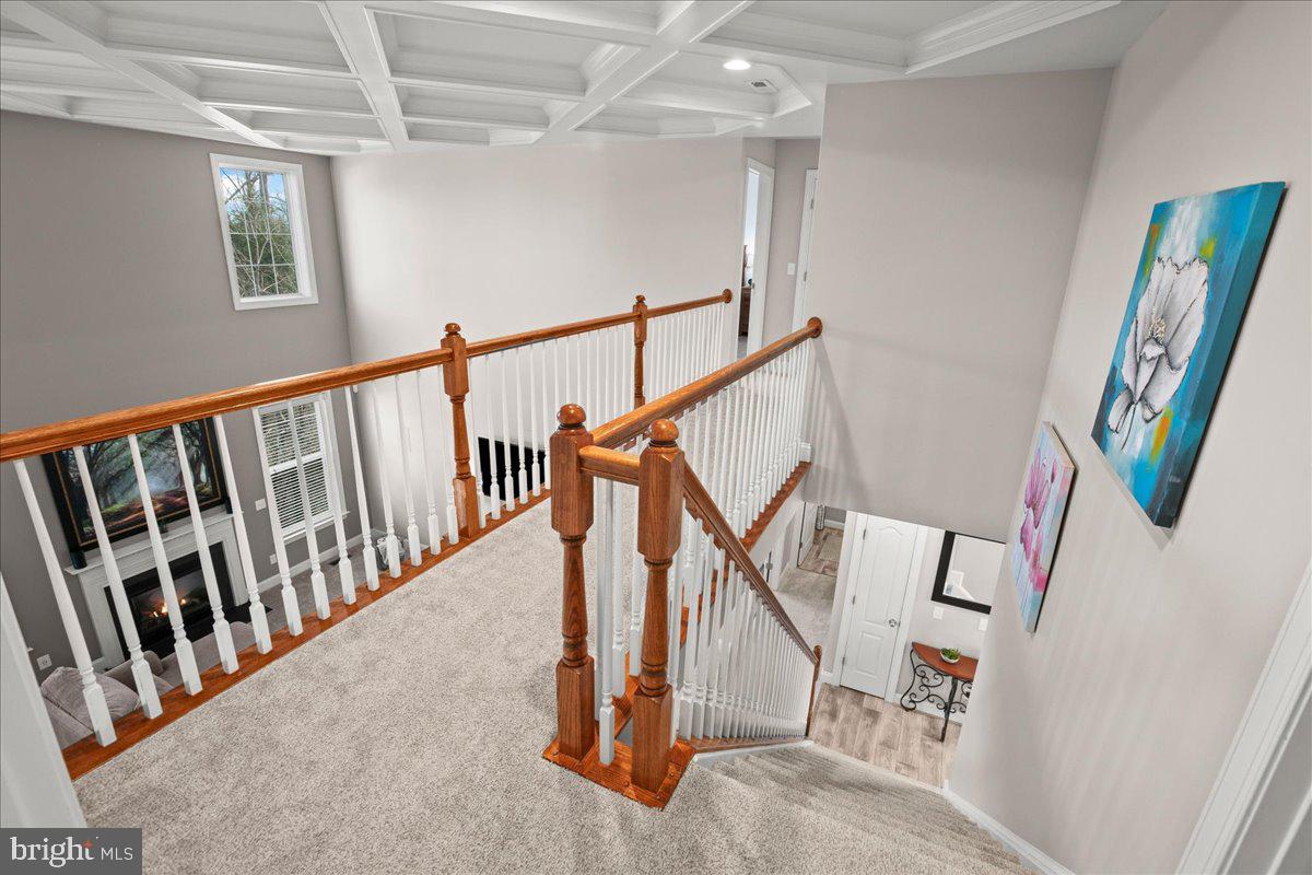 TURNING LEAF ESTATES - Residential