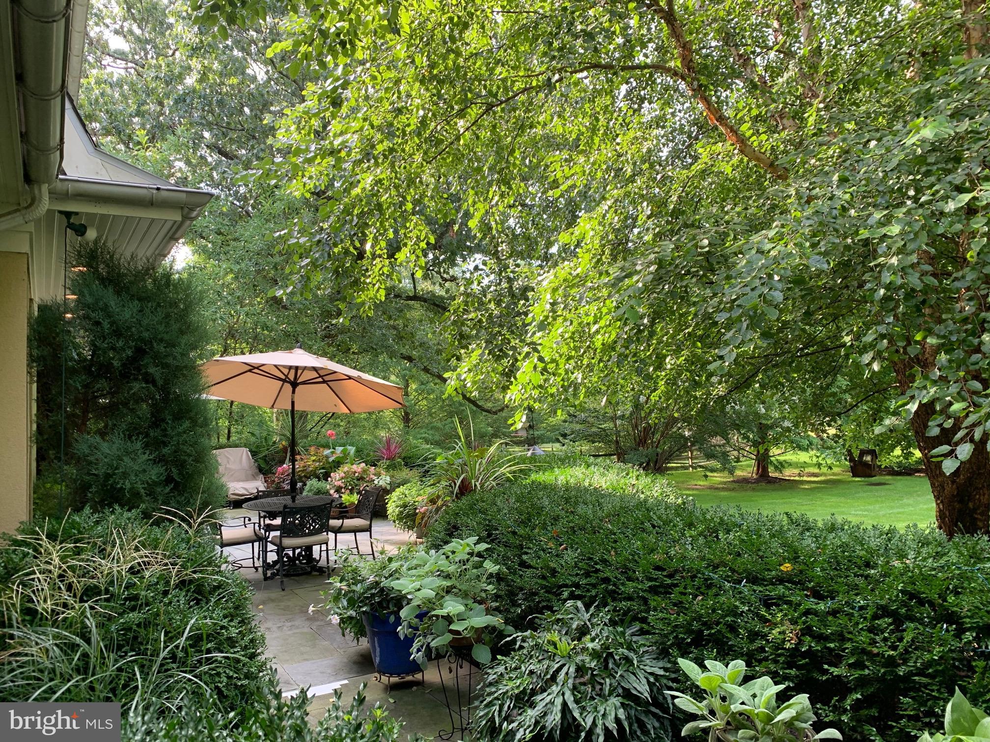 CHESTNUT HILL - Residential