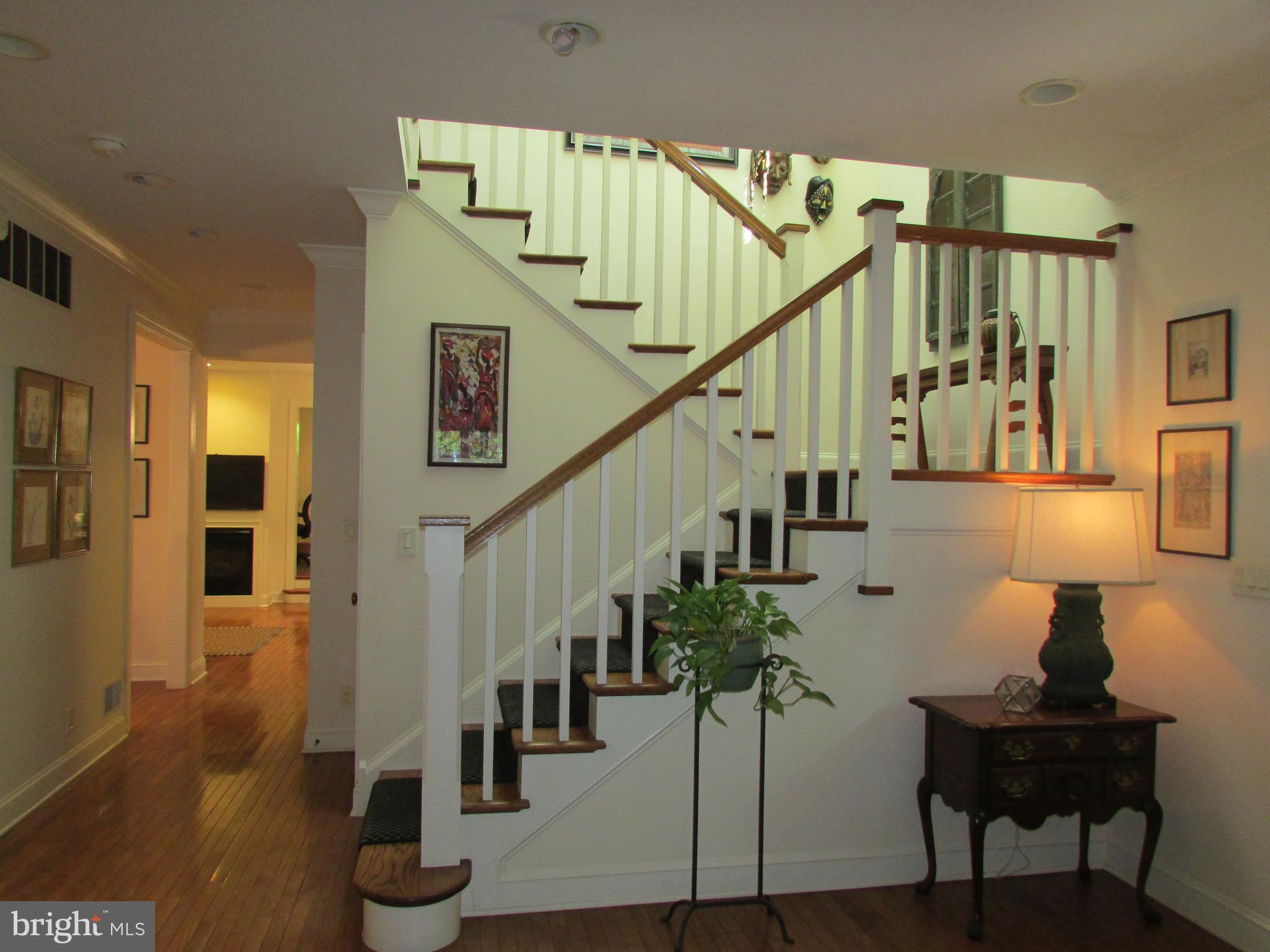 CHESTNUT HILL - Residential