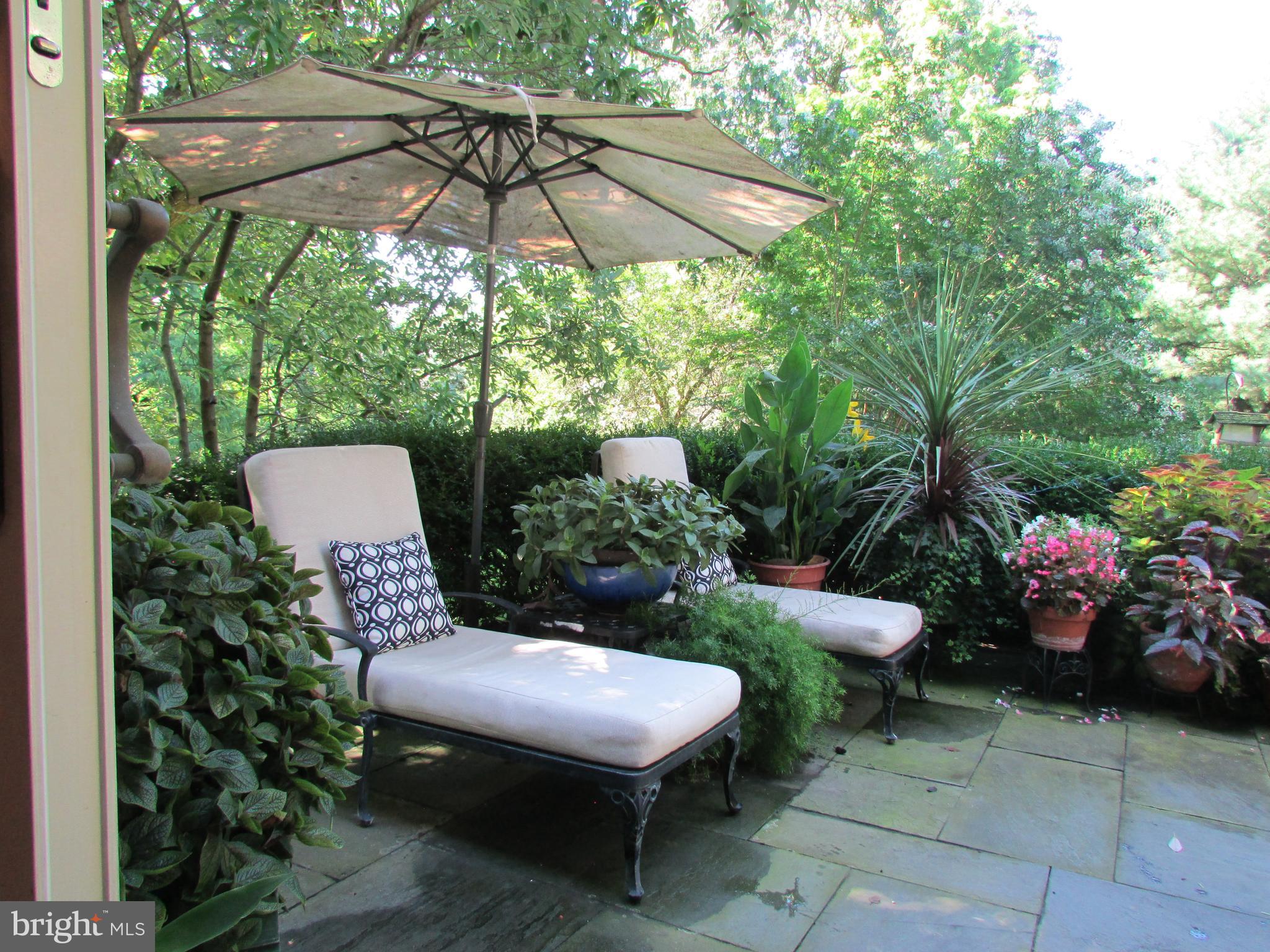 CHESTNUT HILL - Residential