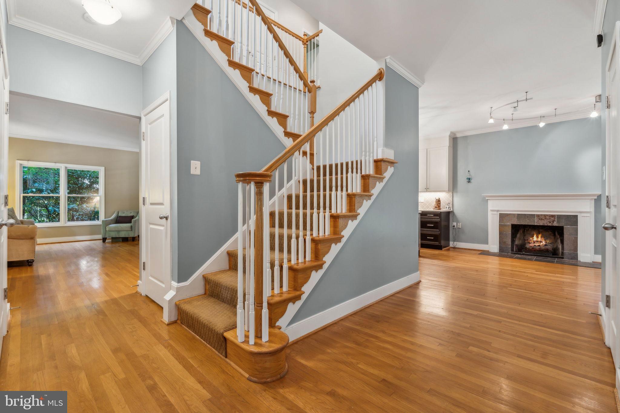 CHEVY CHASE - Residential