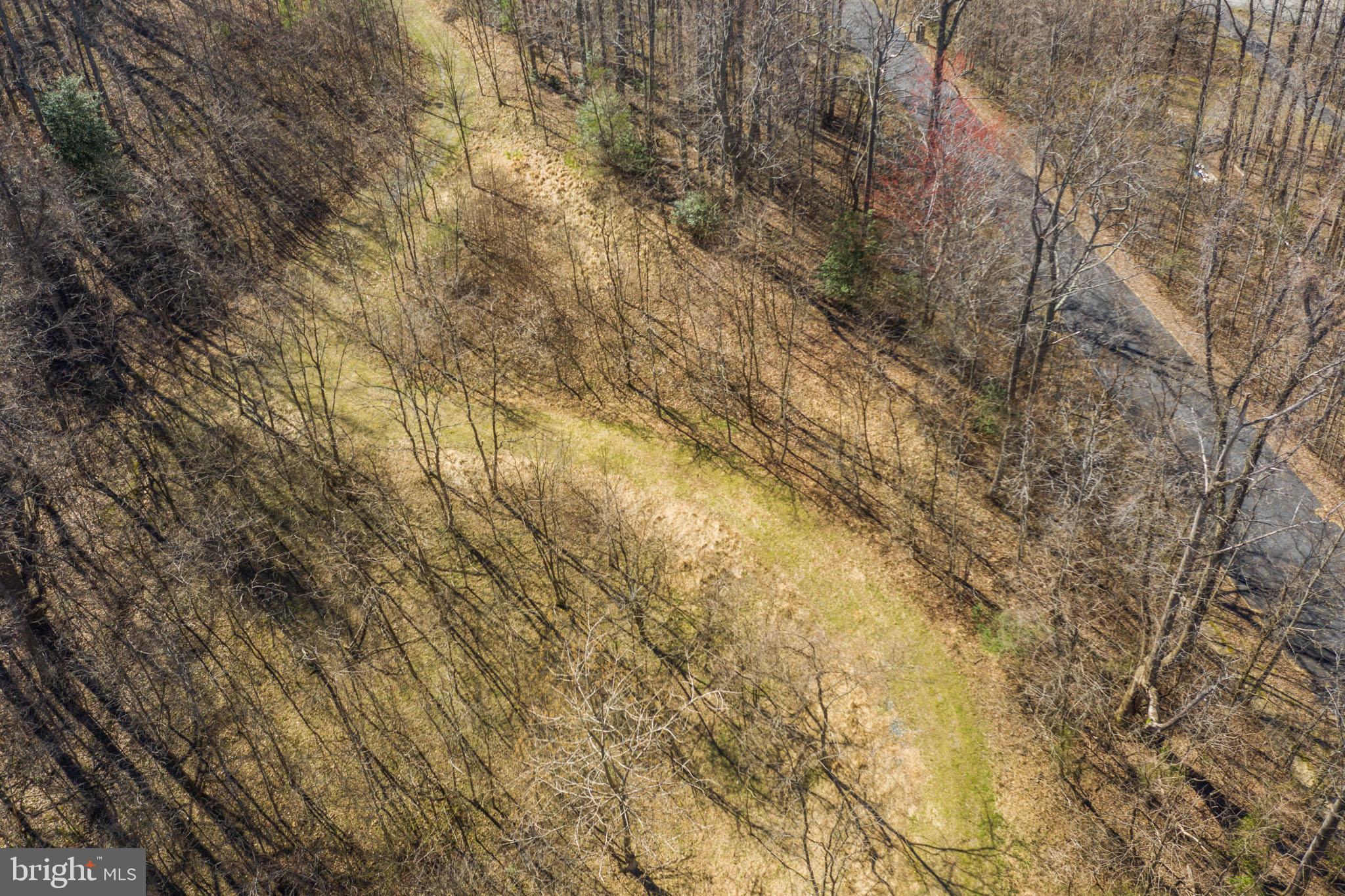 WILLIAMSBURG ON THE POTOMAC - Land