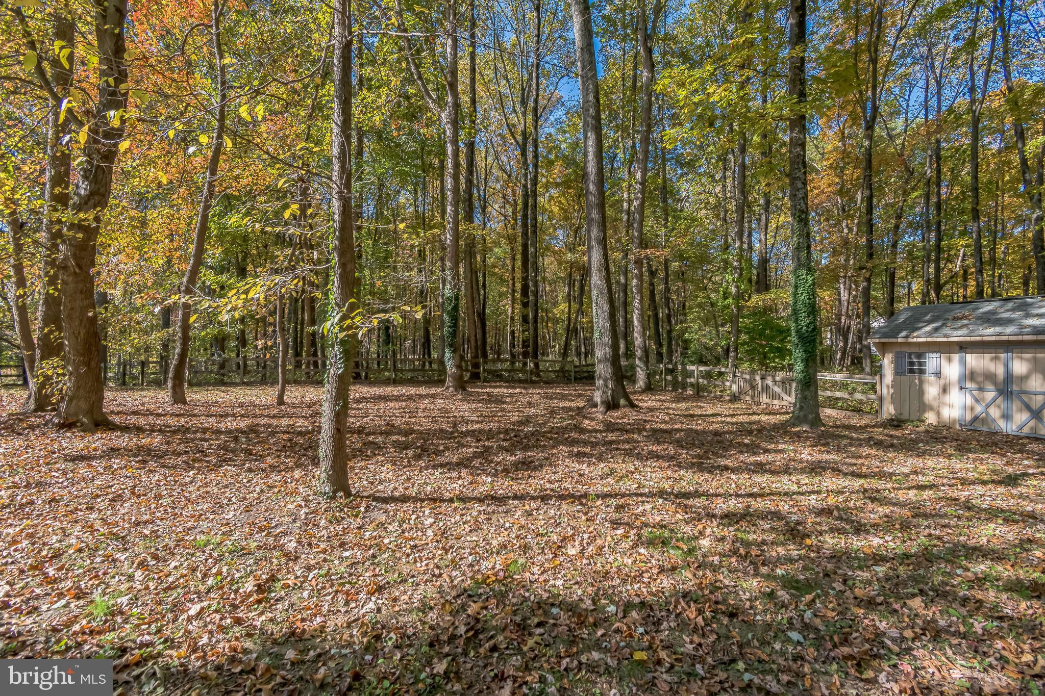 PT OLNEY OUT RES 2 - Residential