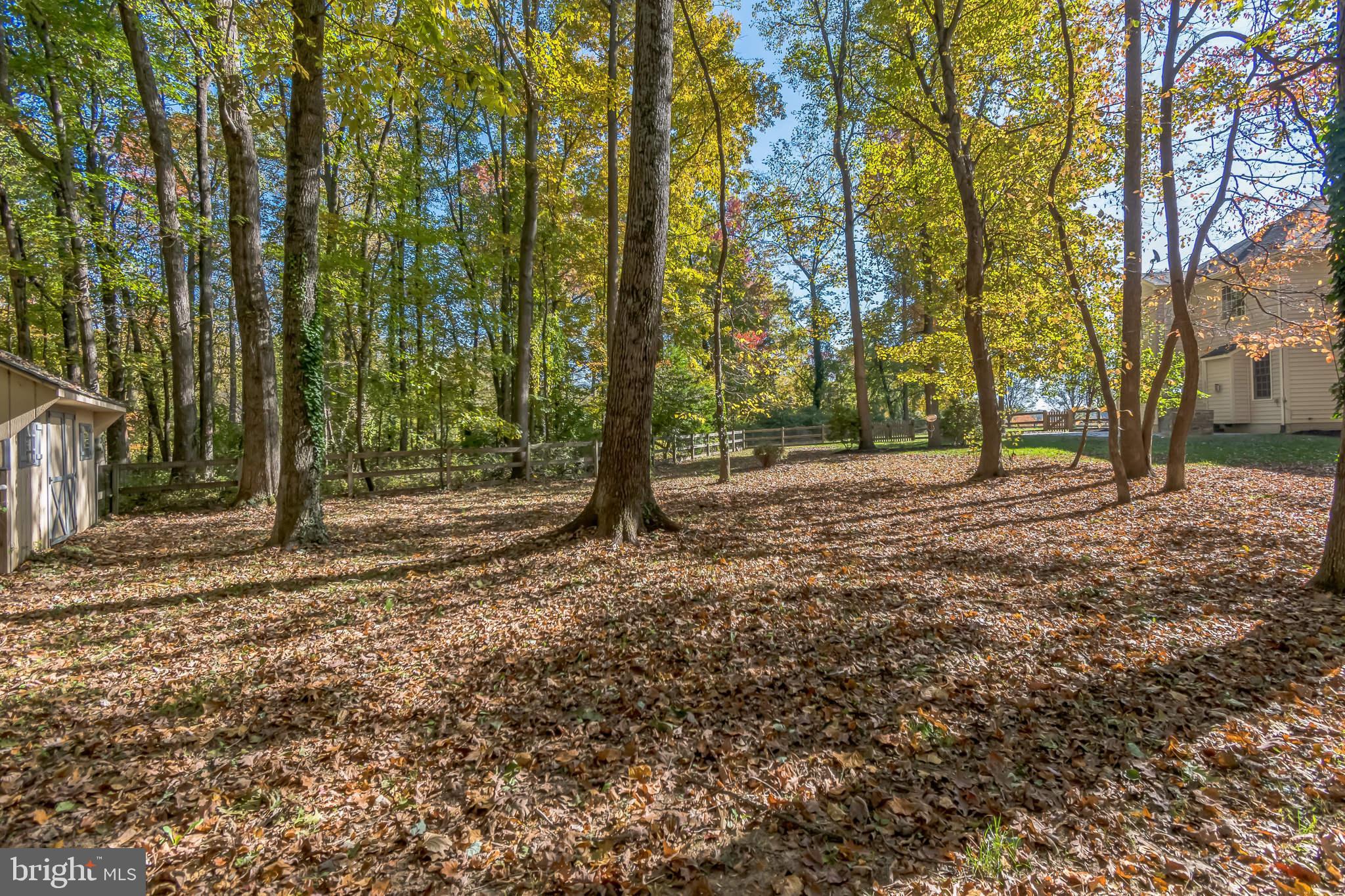 PT OLNEY OUT RES 2 - Residential