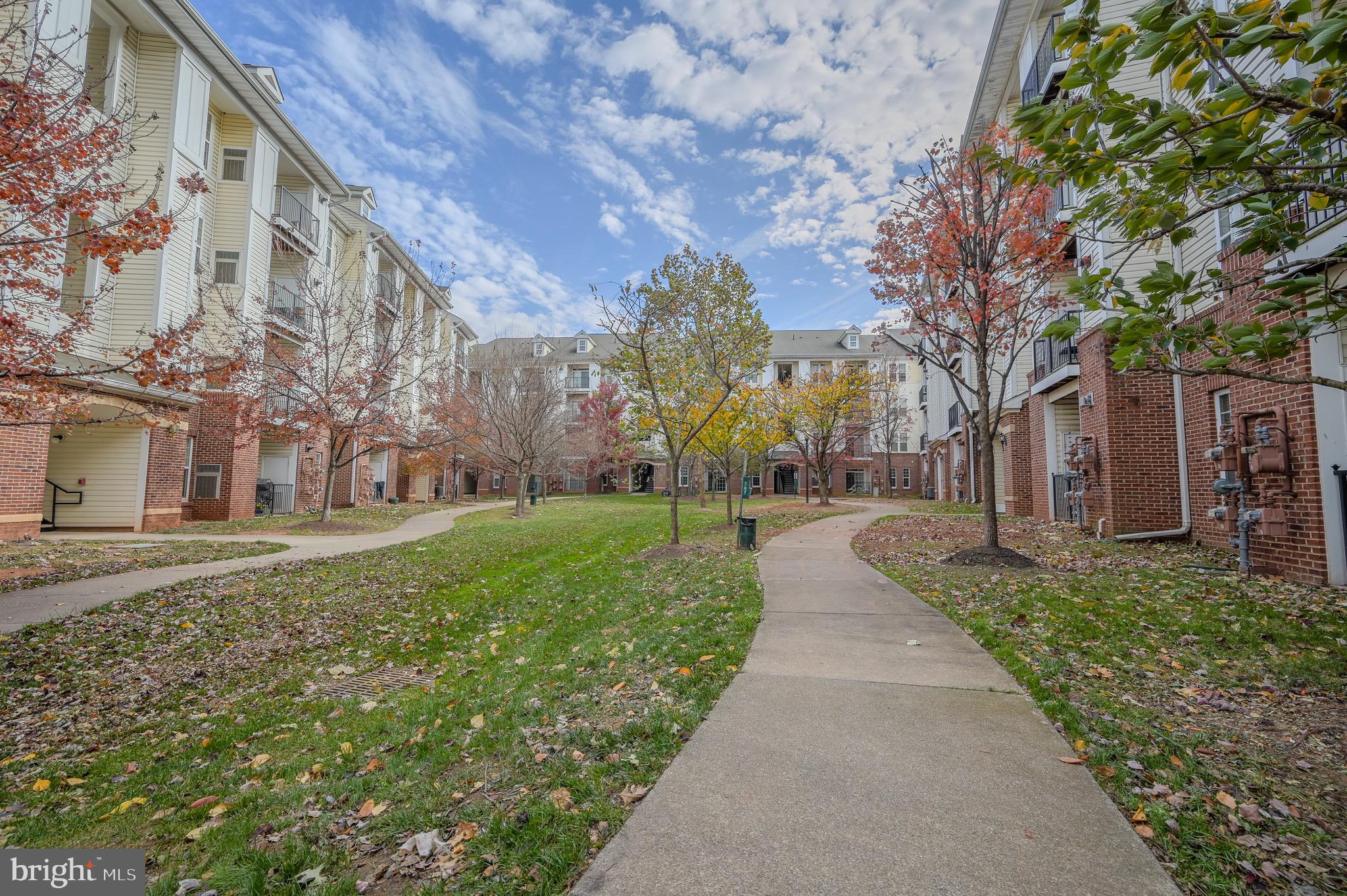 21216 MCFADDEN SQUARE 206