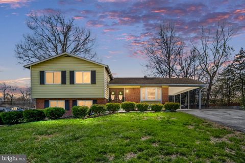 4401 BLYTH PLACE ALEXANDRIA VA 22309