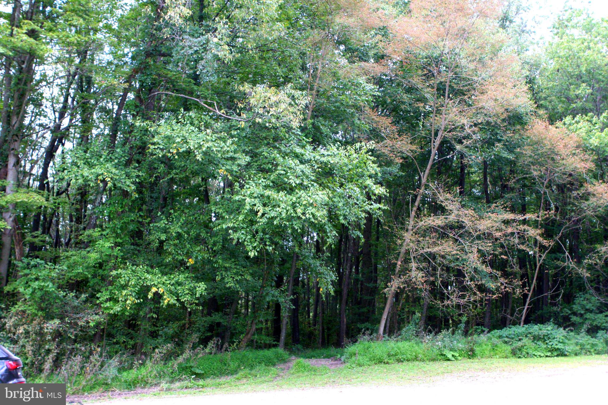 Lot 24 MOONLIGHT DRIVE