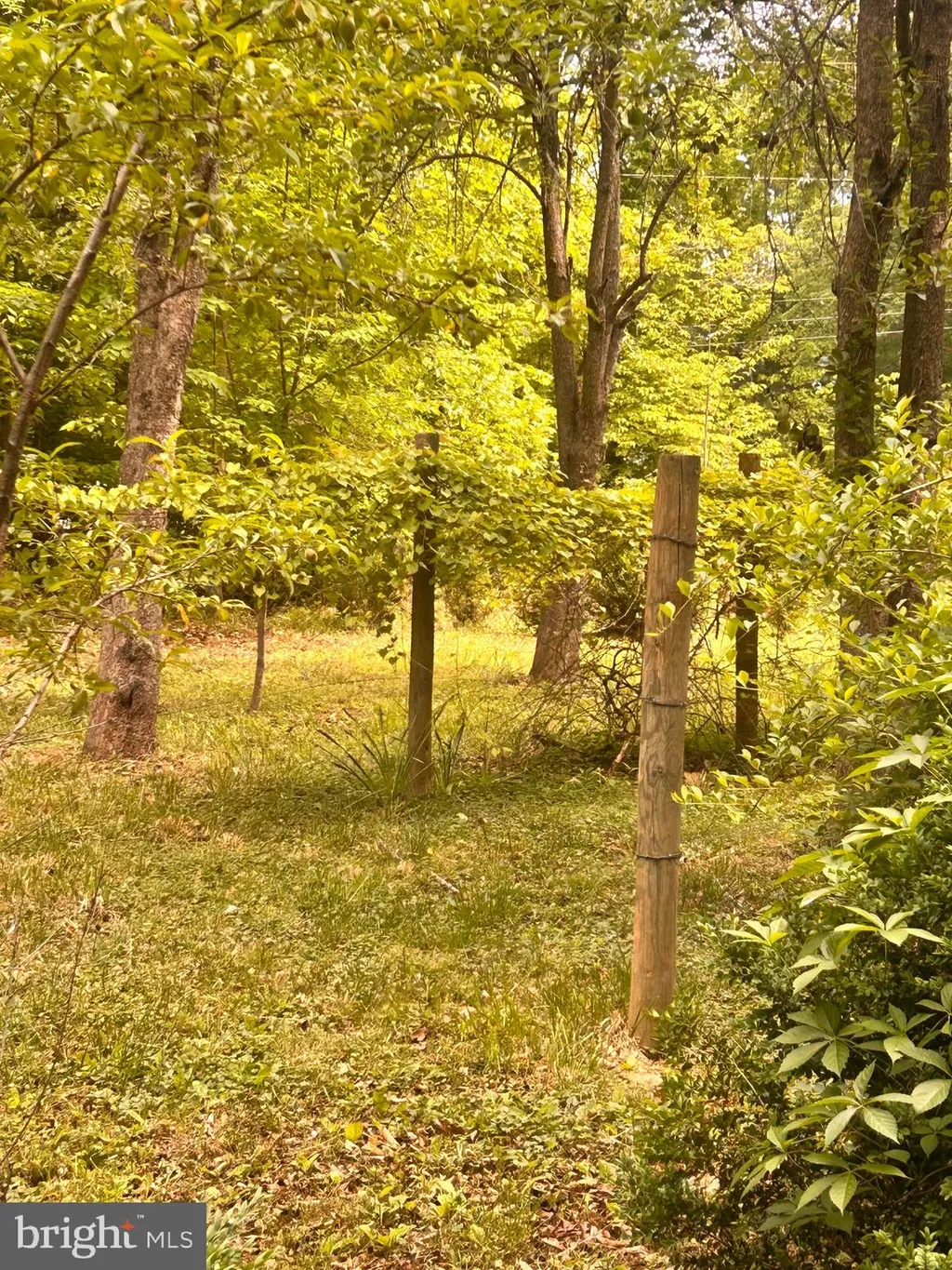 Additional image 53 of 3628 S Spotswood Trail, Barboursville, VA 22923