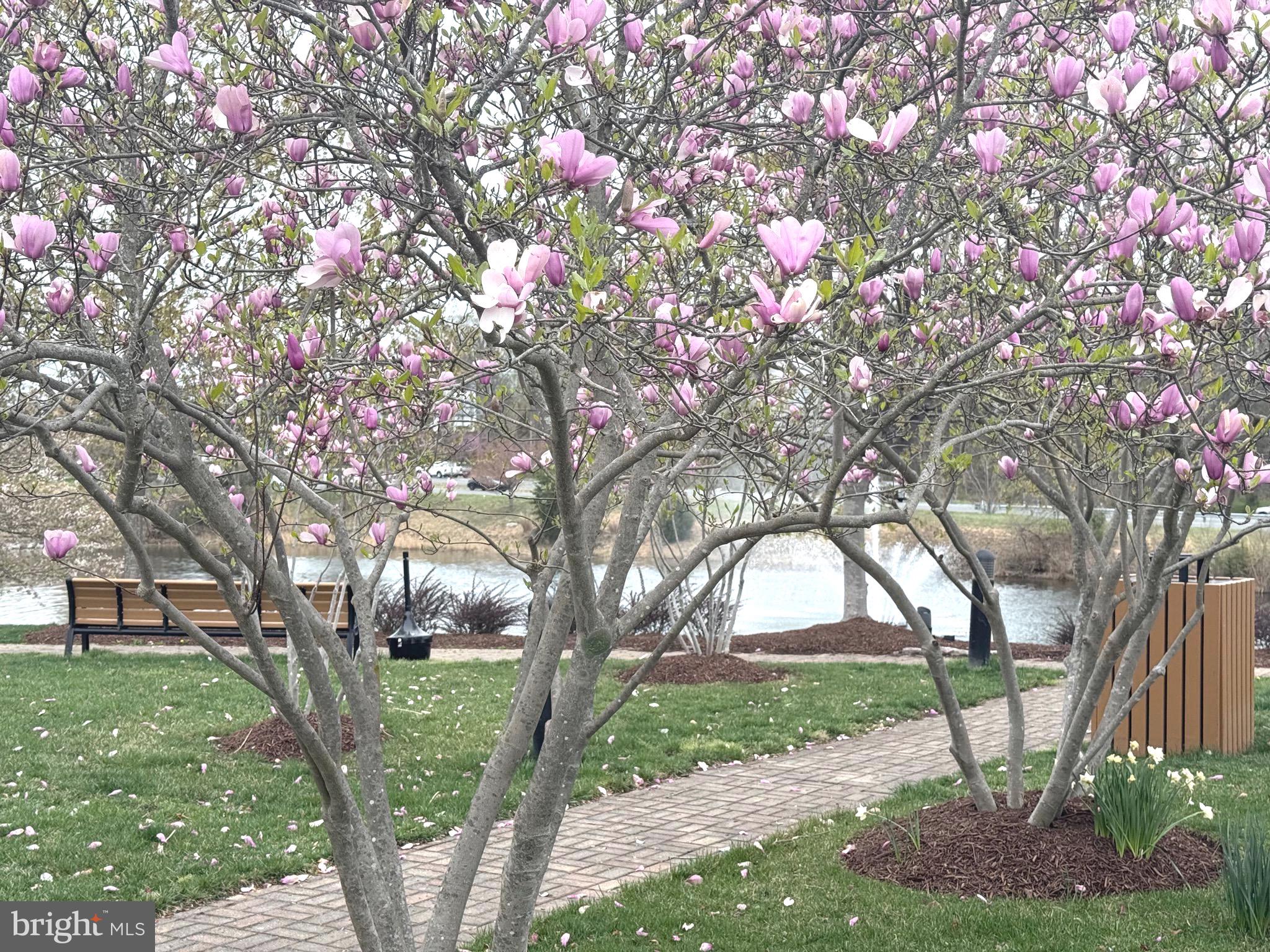 LANSDOWNE TOWN CENTER - Residential