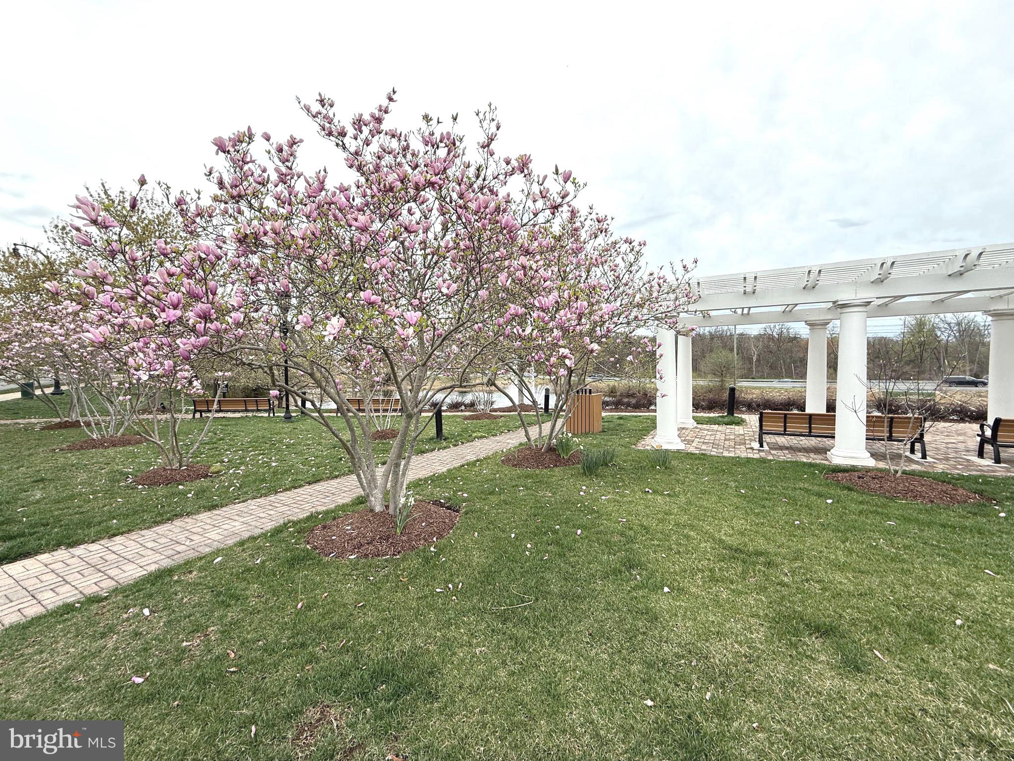 LANSDOWNE TOWN CENTER - Residential