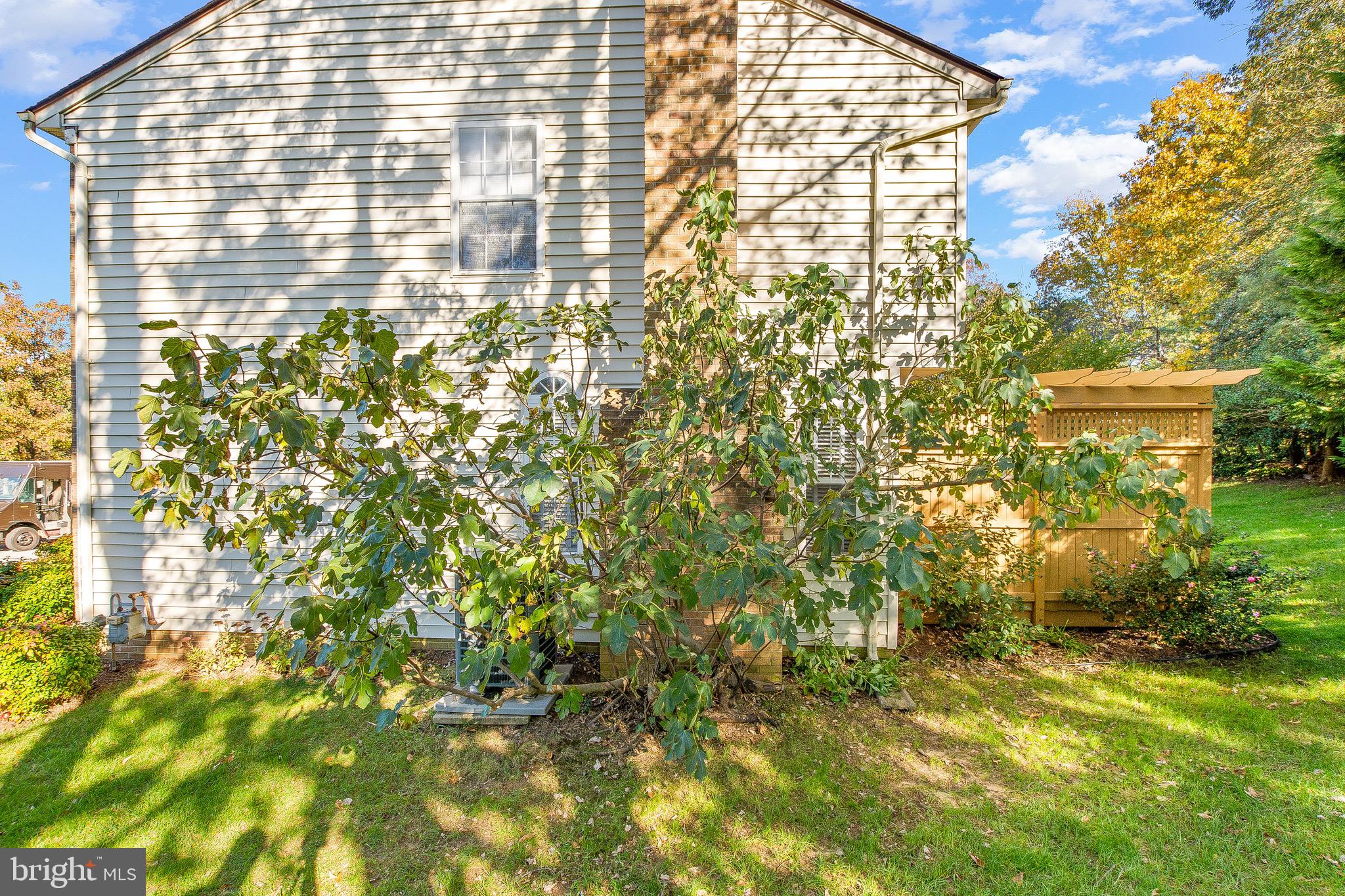 DORCHESTER - Residential