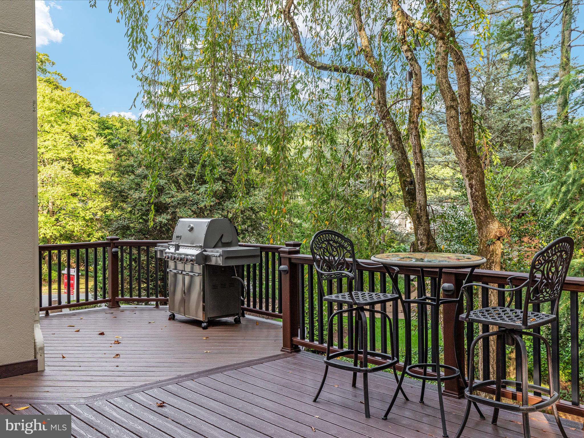 CHAIN BRIDGE HEIGHTS - Residential