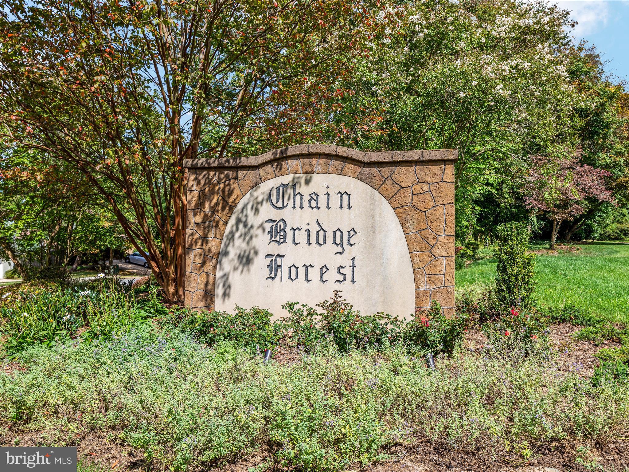 CHAIN BRIDGE HEIGHTS - Residential