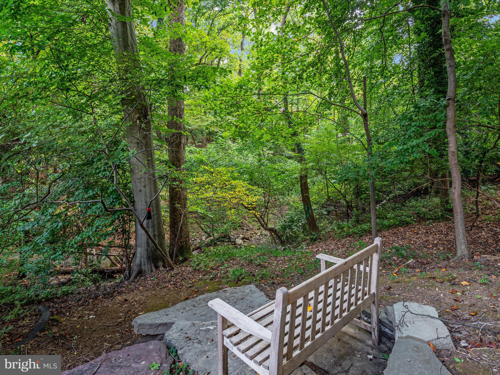 CHAIN BRIDGE HEIGHTS - Residential