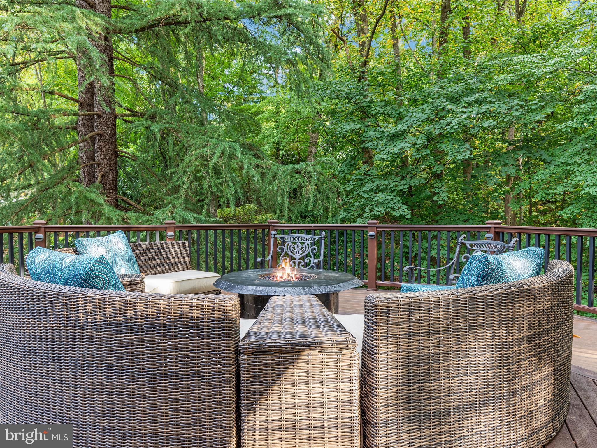 CHAIN BRIDGE HEIGHTS - Residential