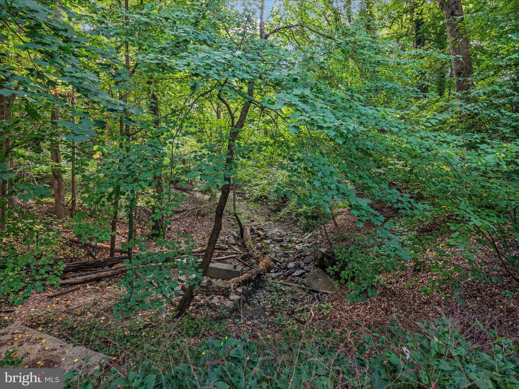 CHAIN BRIDGE HEIGHTS - Residential