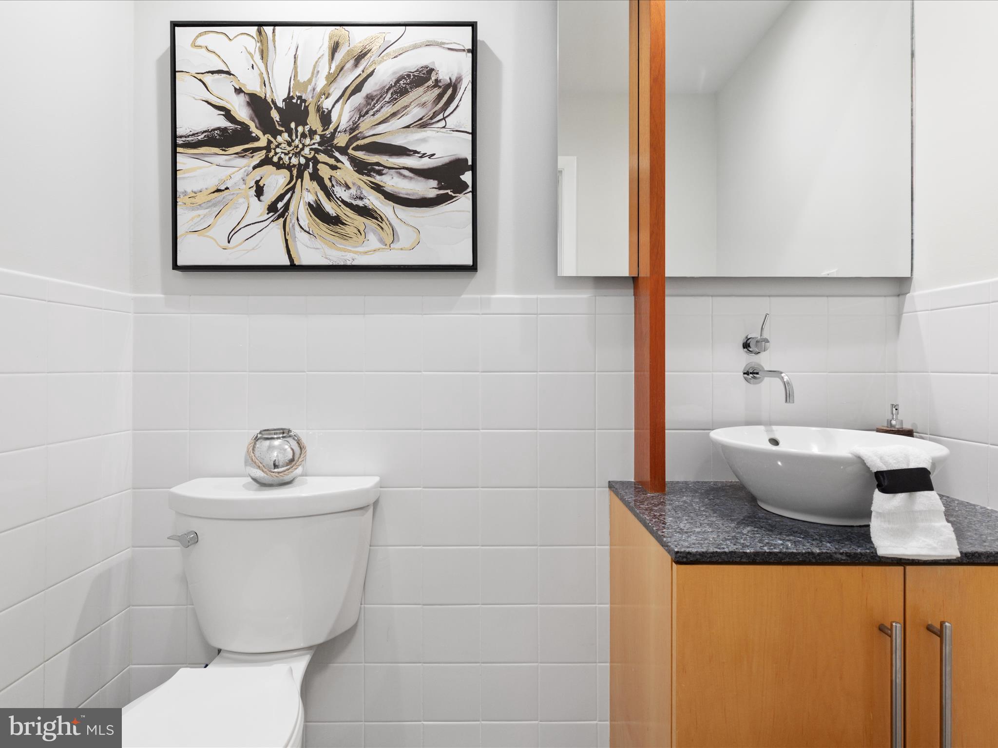 CHAIN BRIDGE HEIGHTS - Residential